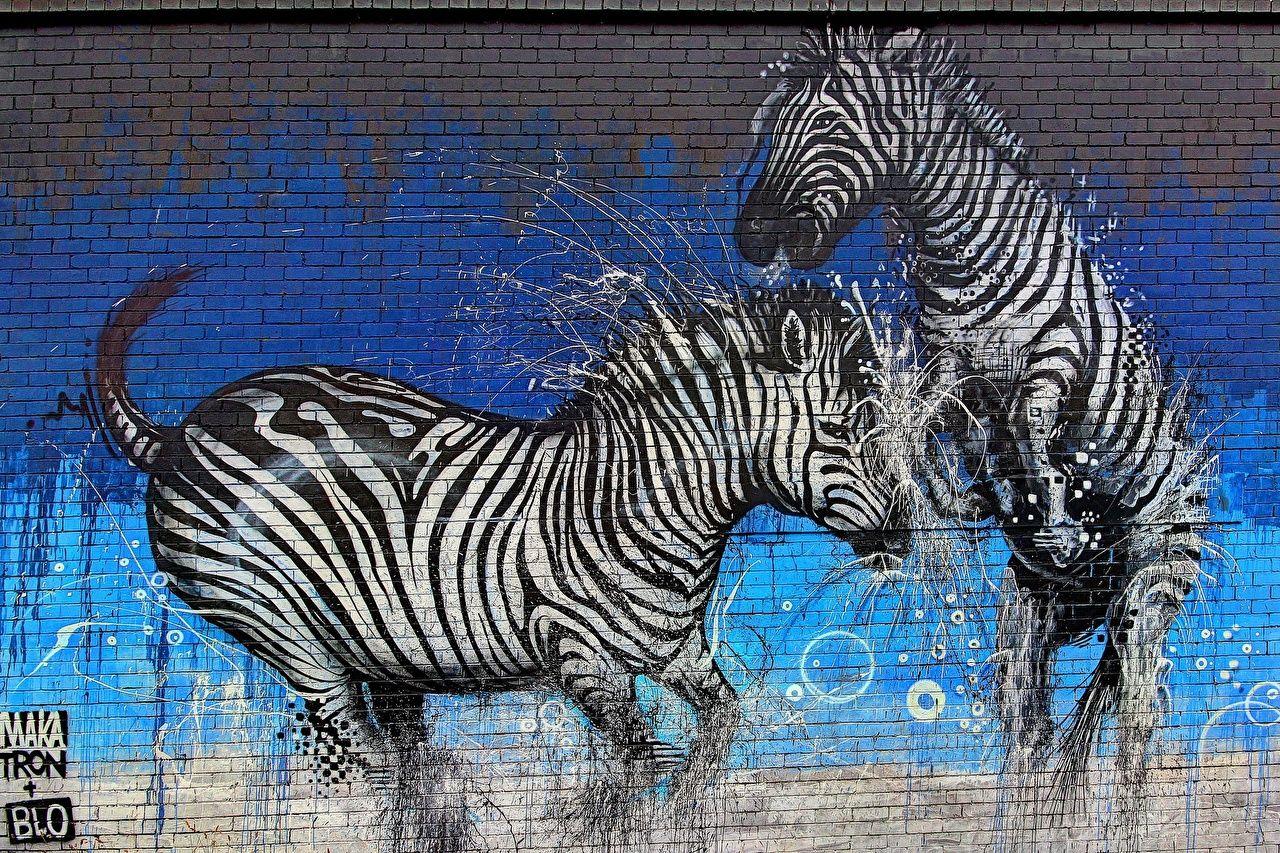 Picture Zebras 2 Graffiti Wall Animals