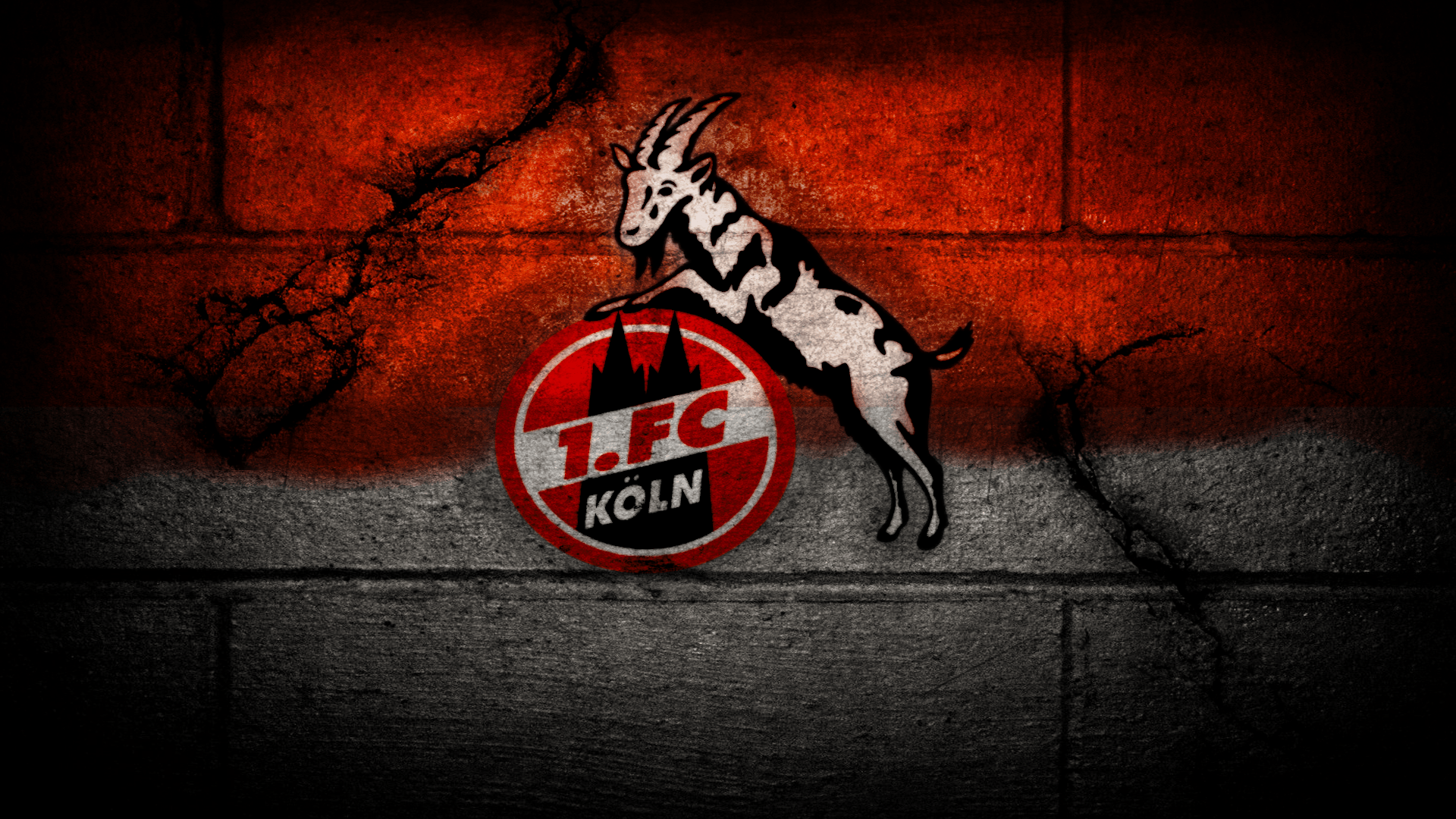 Download FC Cologne Logo Wallpaper Sport HD Picture Free Download
