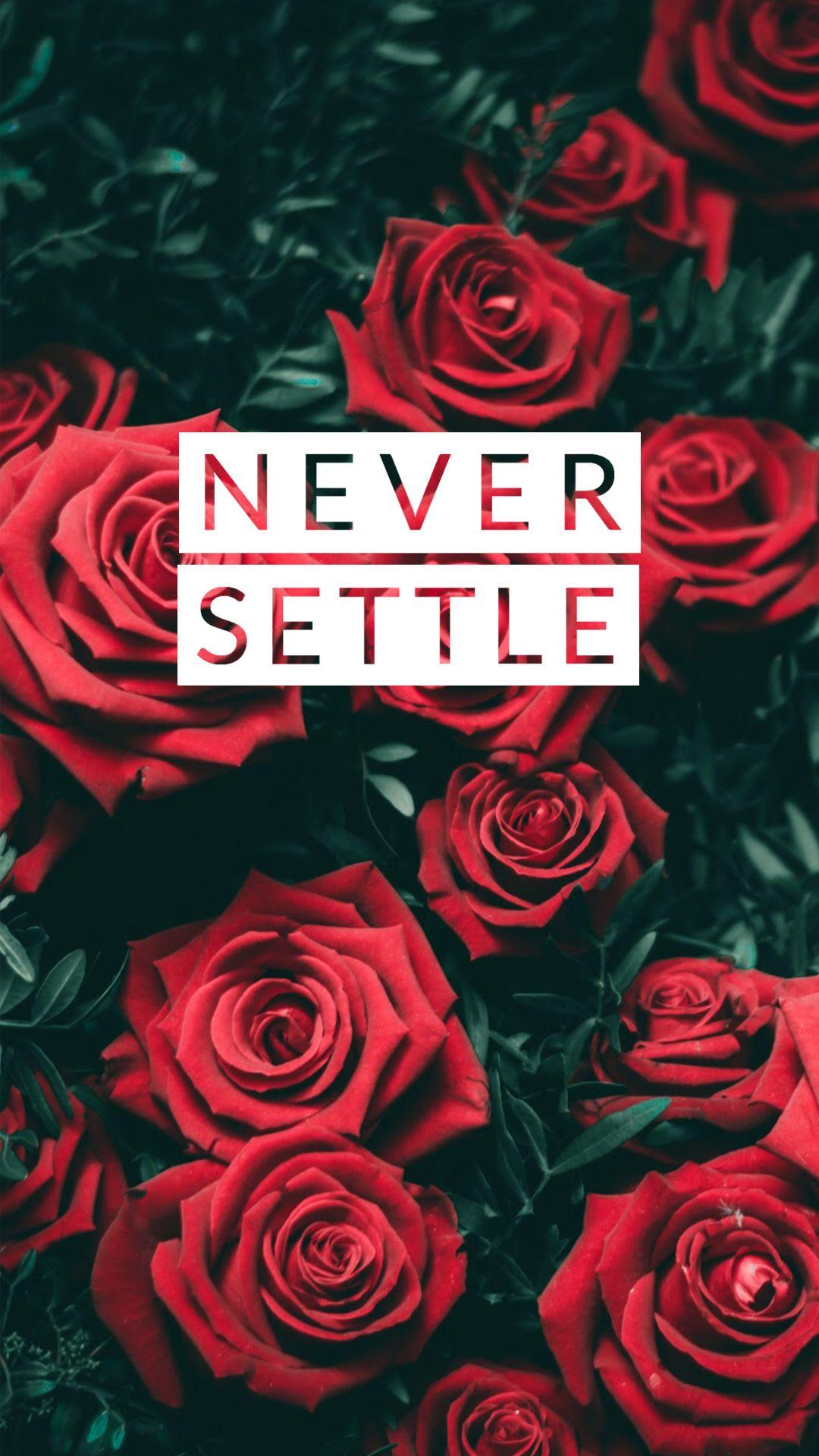 Never Settle Wallpaper Collection