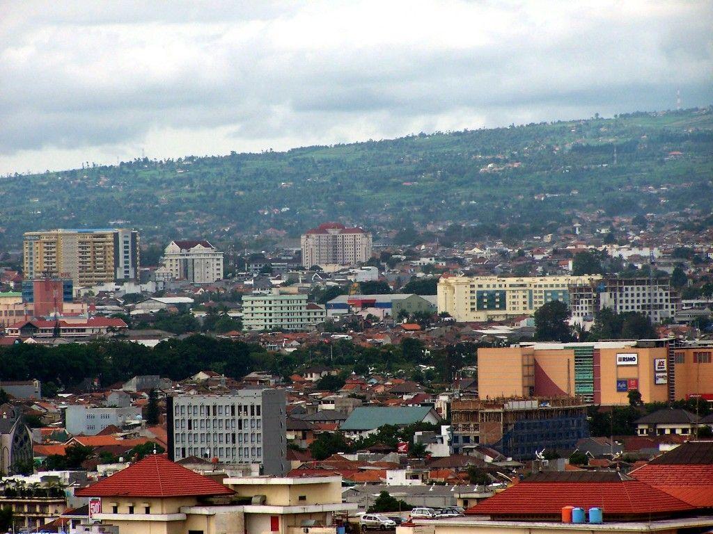 ANT490Y Field Course