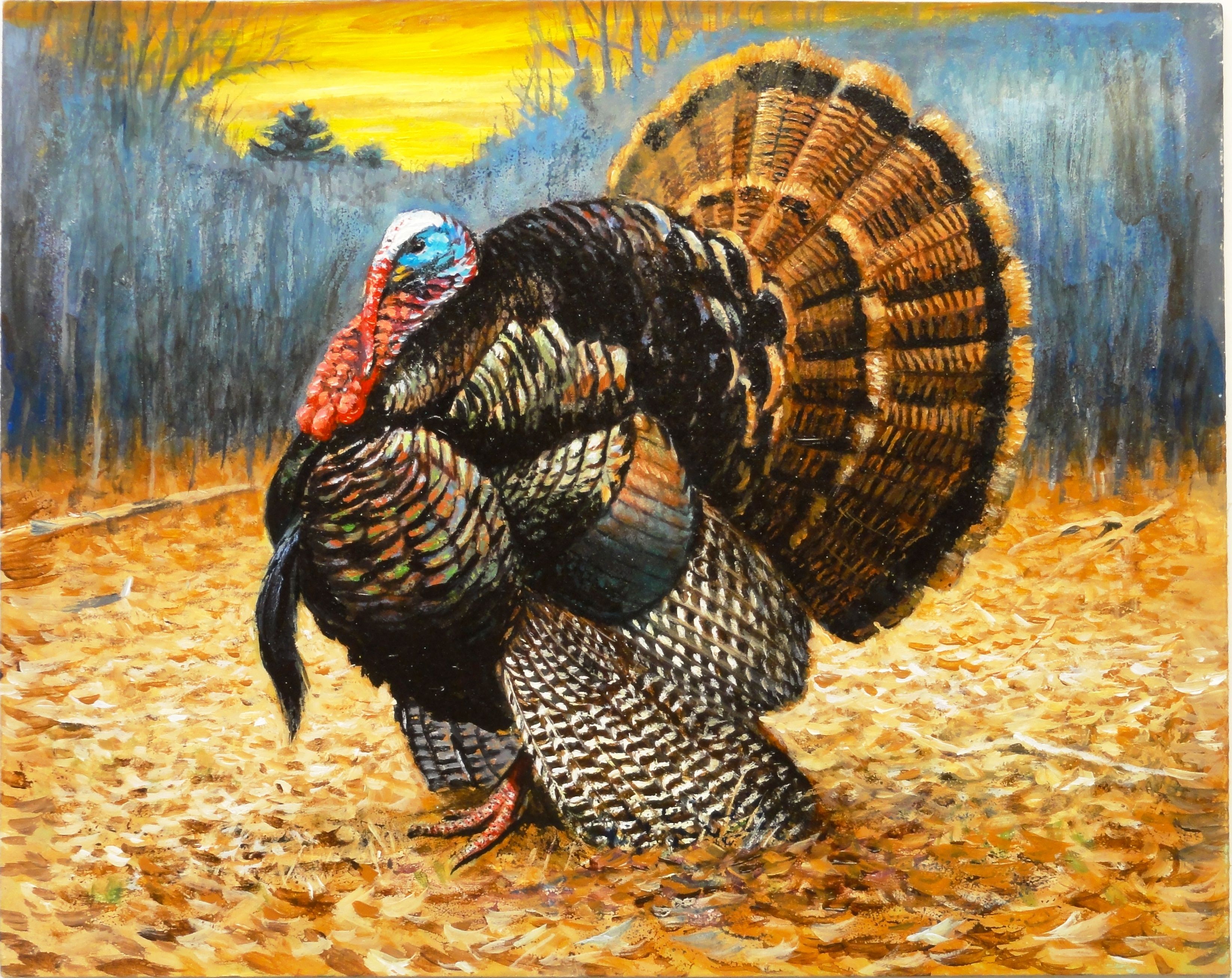 Turkey Hunting Backgrounds