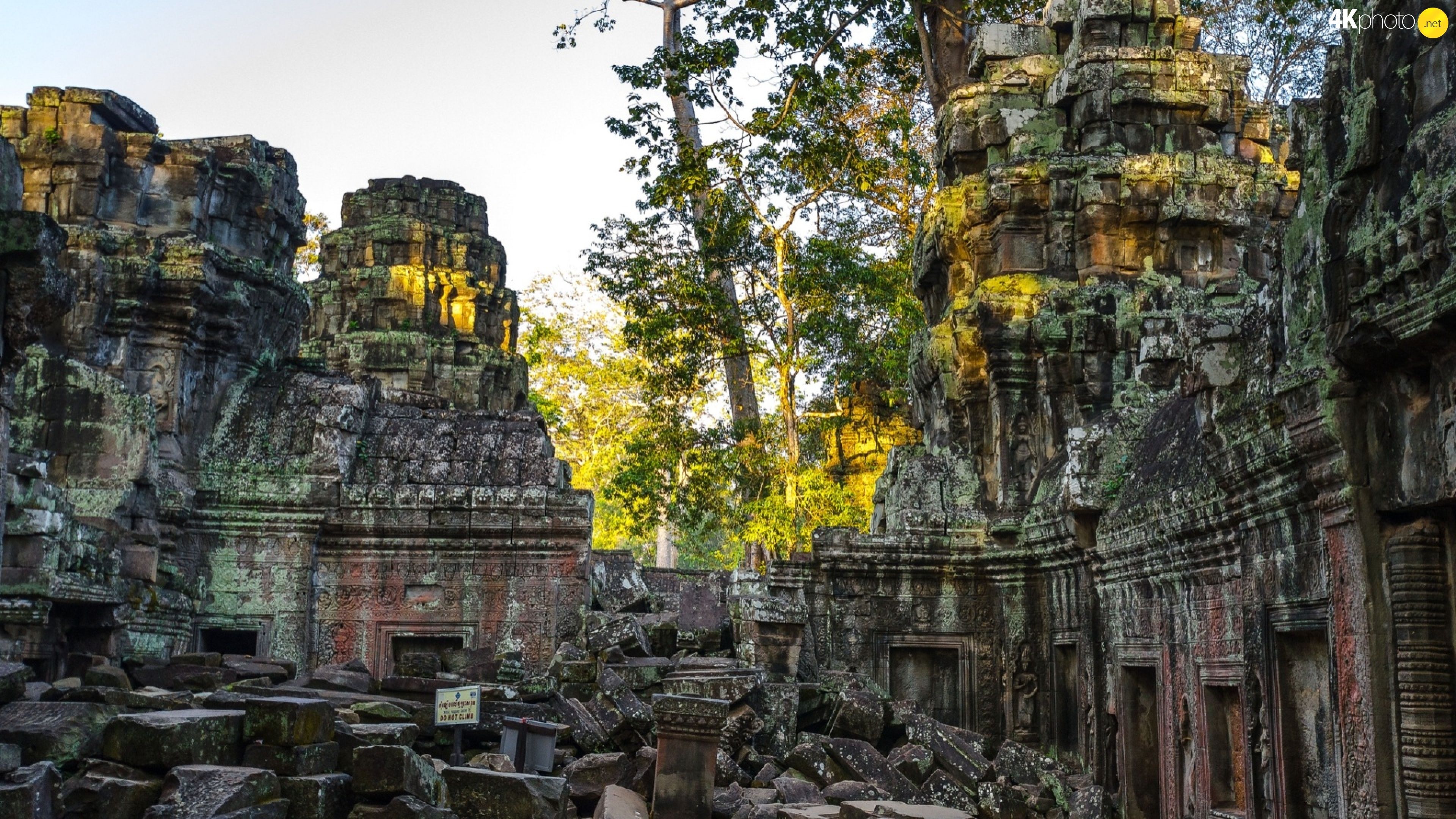 trees, temple, viewes, Angkor Wat, Cambodia, ruins jigsaw