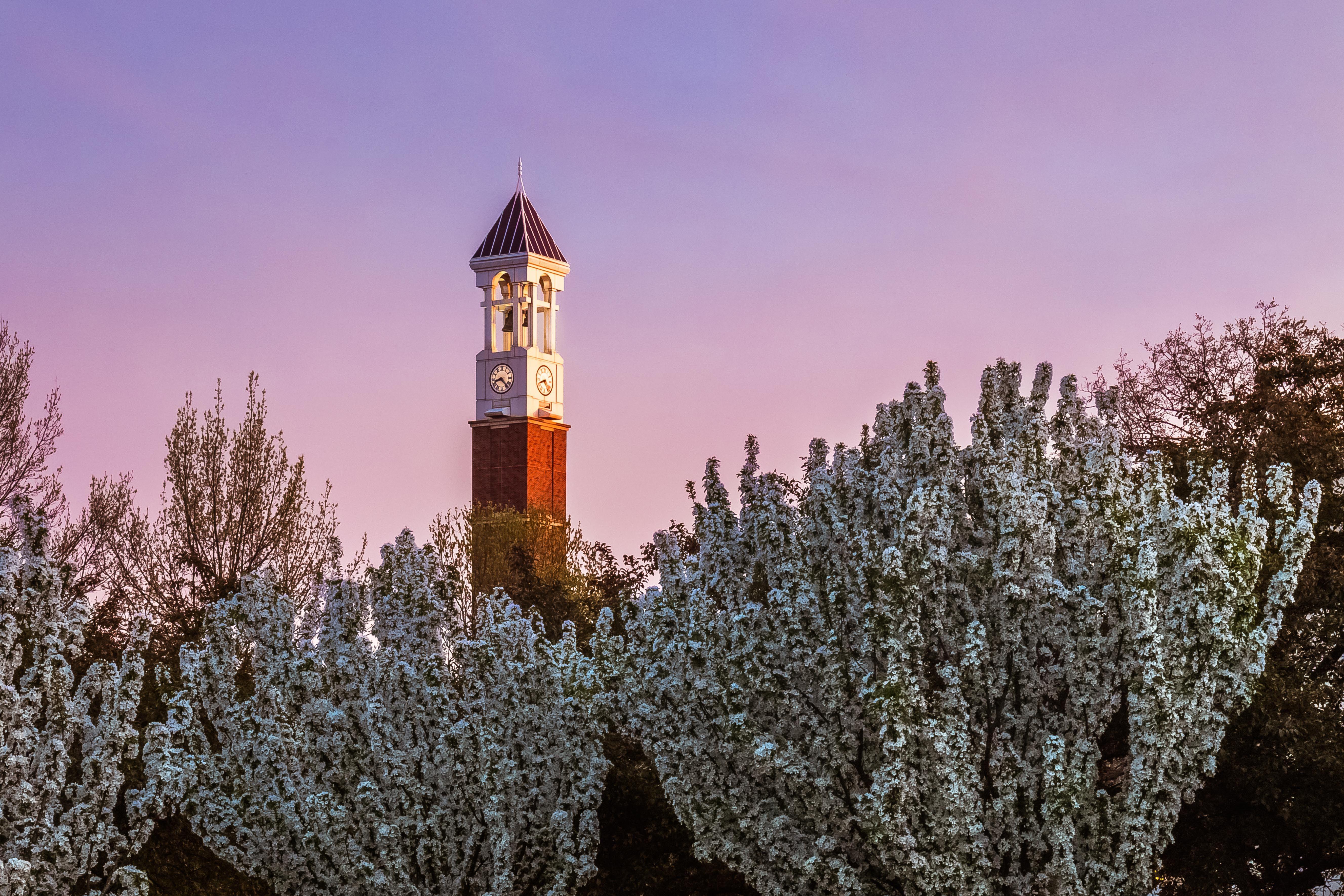 Purdue Wallpaper