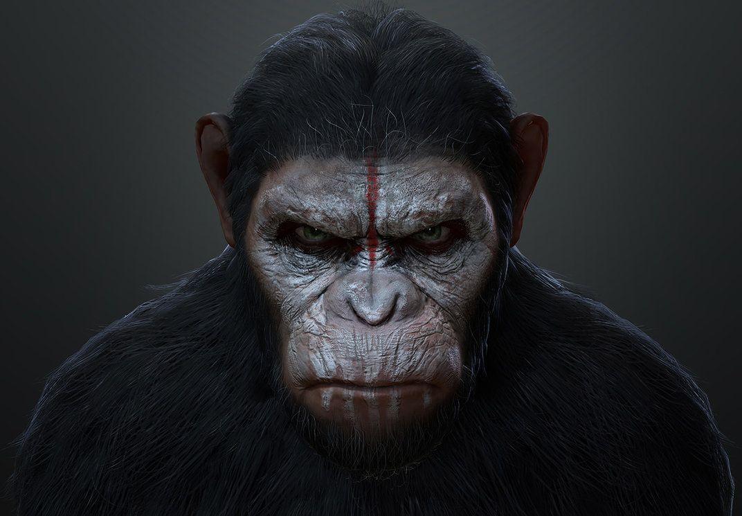 Dawn of the Planet of the Apes Caesar Drawing