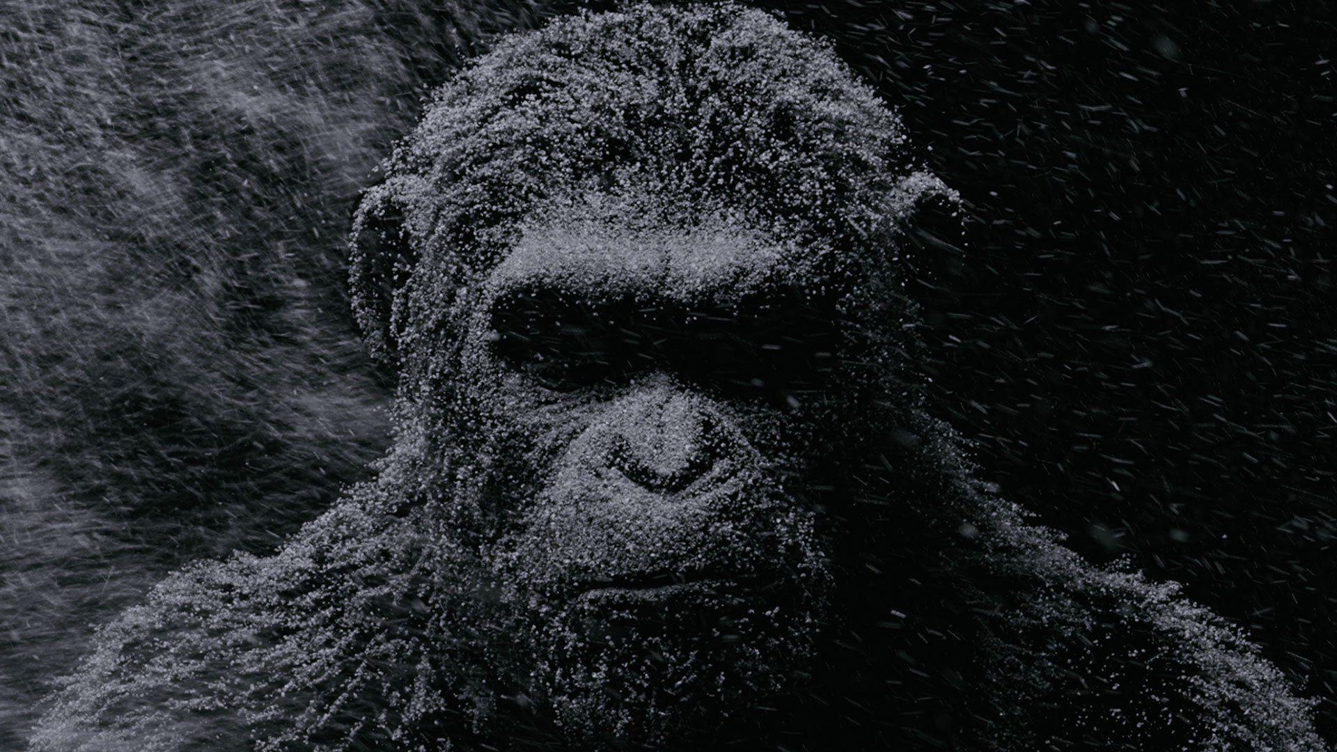 Watch the first War for the Planet of the Apes teaser. Caesar