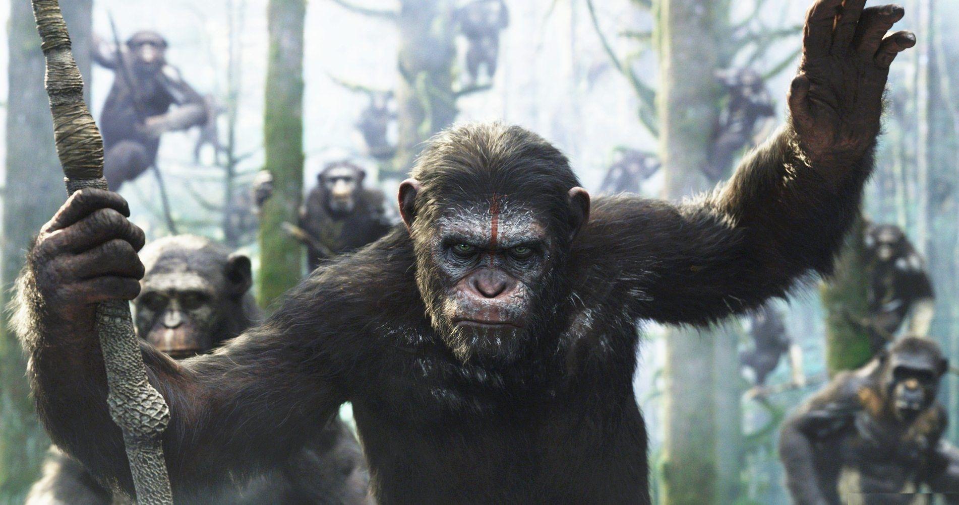 Dawn Of The Planet Of The Apes HD Wallpaper