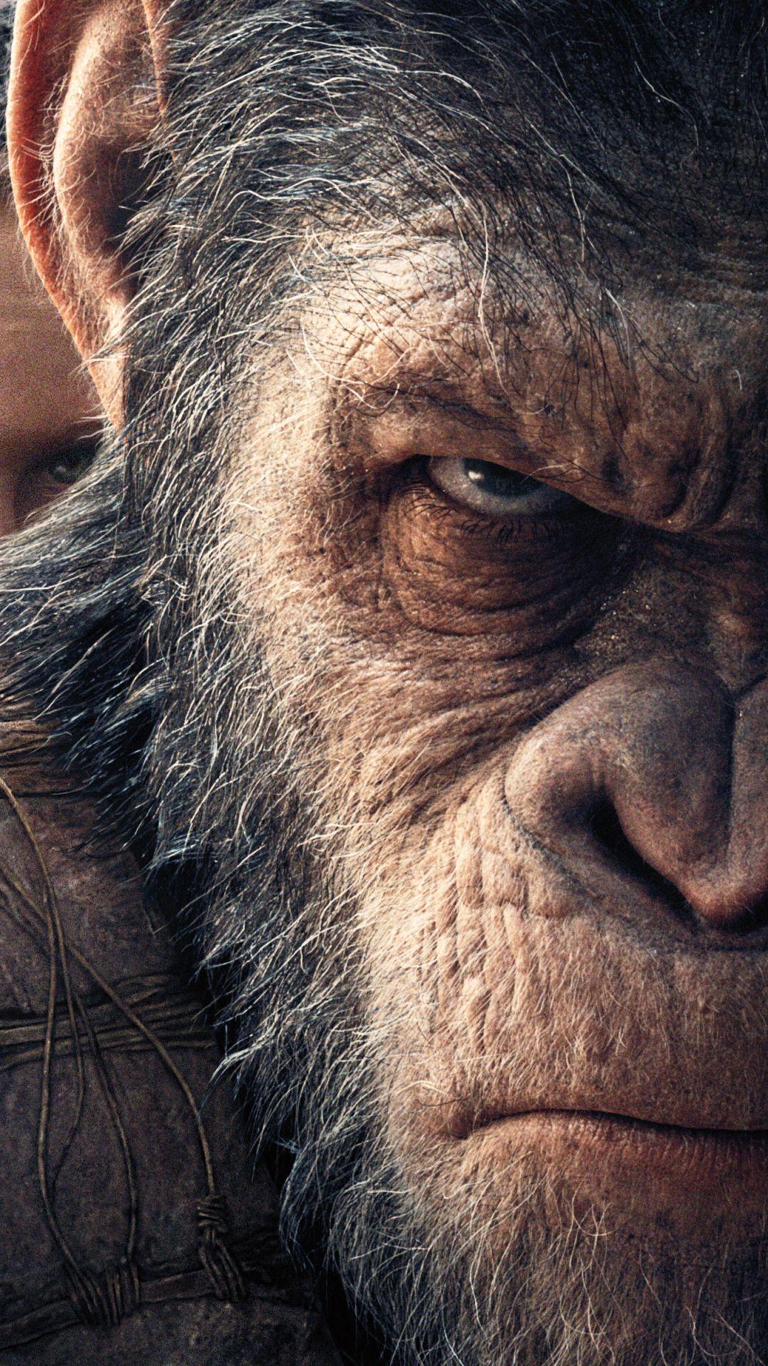 Download Planet Of The Apes wallpapers for mobile phone free Planet Of  The Apes HD pictures