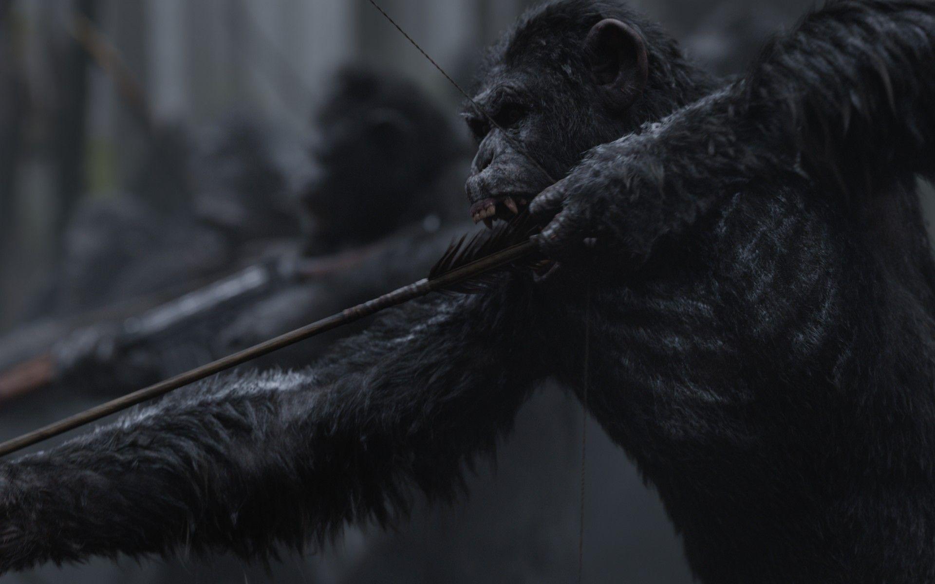 Wallpaper War for the Planet of the Apes, Caesar, 4K, Movies