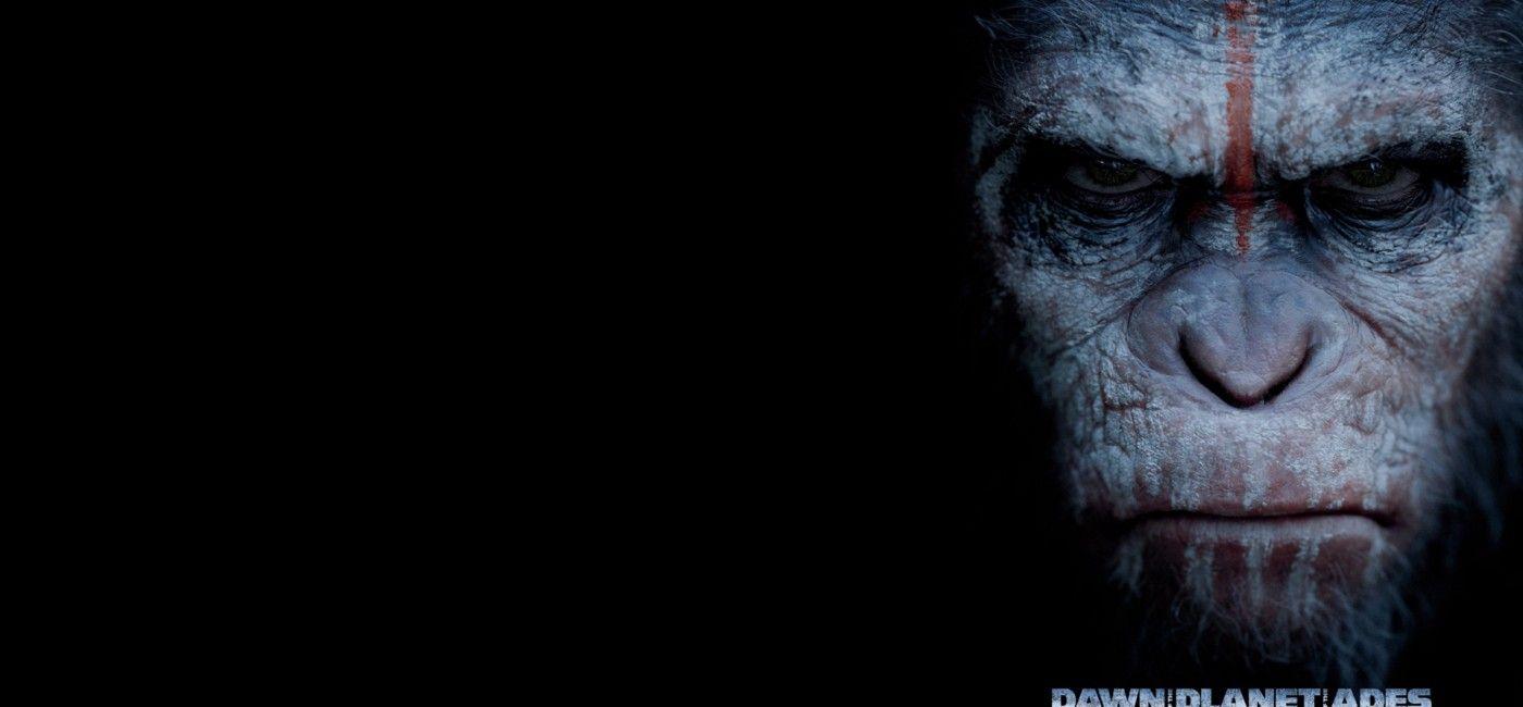 This Weekend At The Movies: Dawn Of The Planet Of The Apes