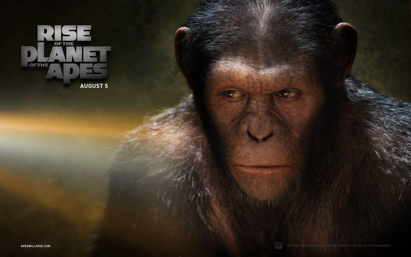 Rise of the Planet of the Apes: Caesar wallpaper