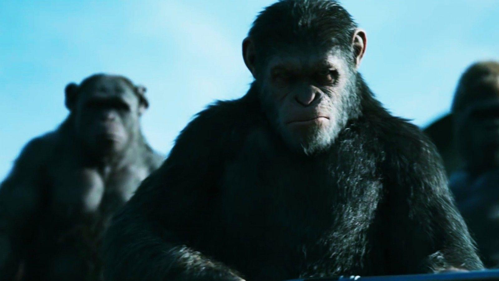 War For The Planet Of The Apes Caesar 2017 Wallpaper 11827
