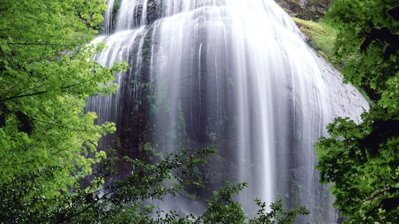 Beautiful Waterfall Greenery Serene Dominica Wallpaper HD 1080p