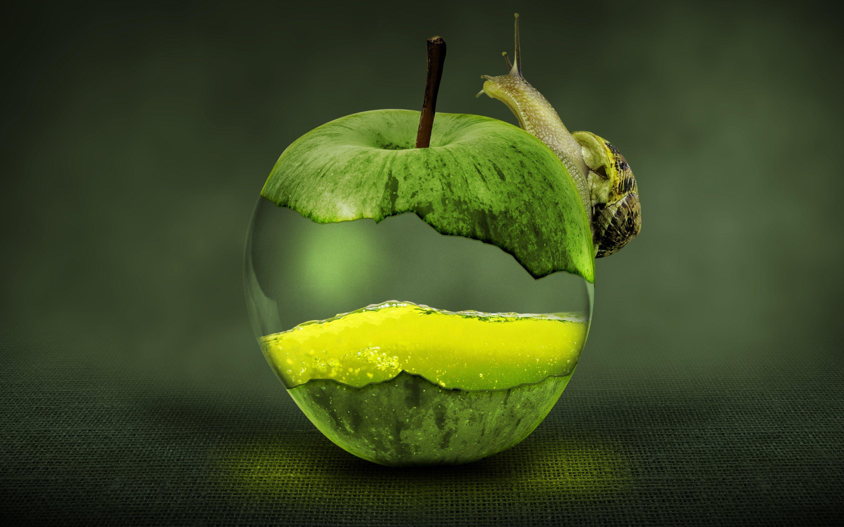 Snail on Green Apple. HD Wallpaper · 4K