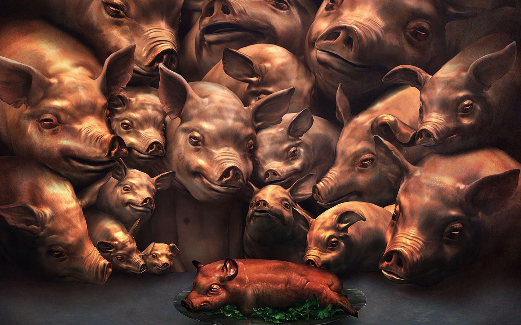 Download the Pork Its Whats For Dinner Wallpaper, Pork Its Whats