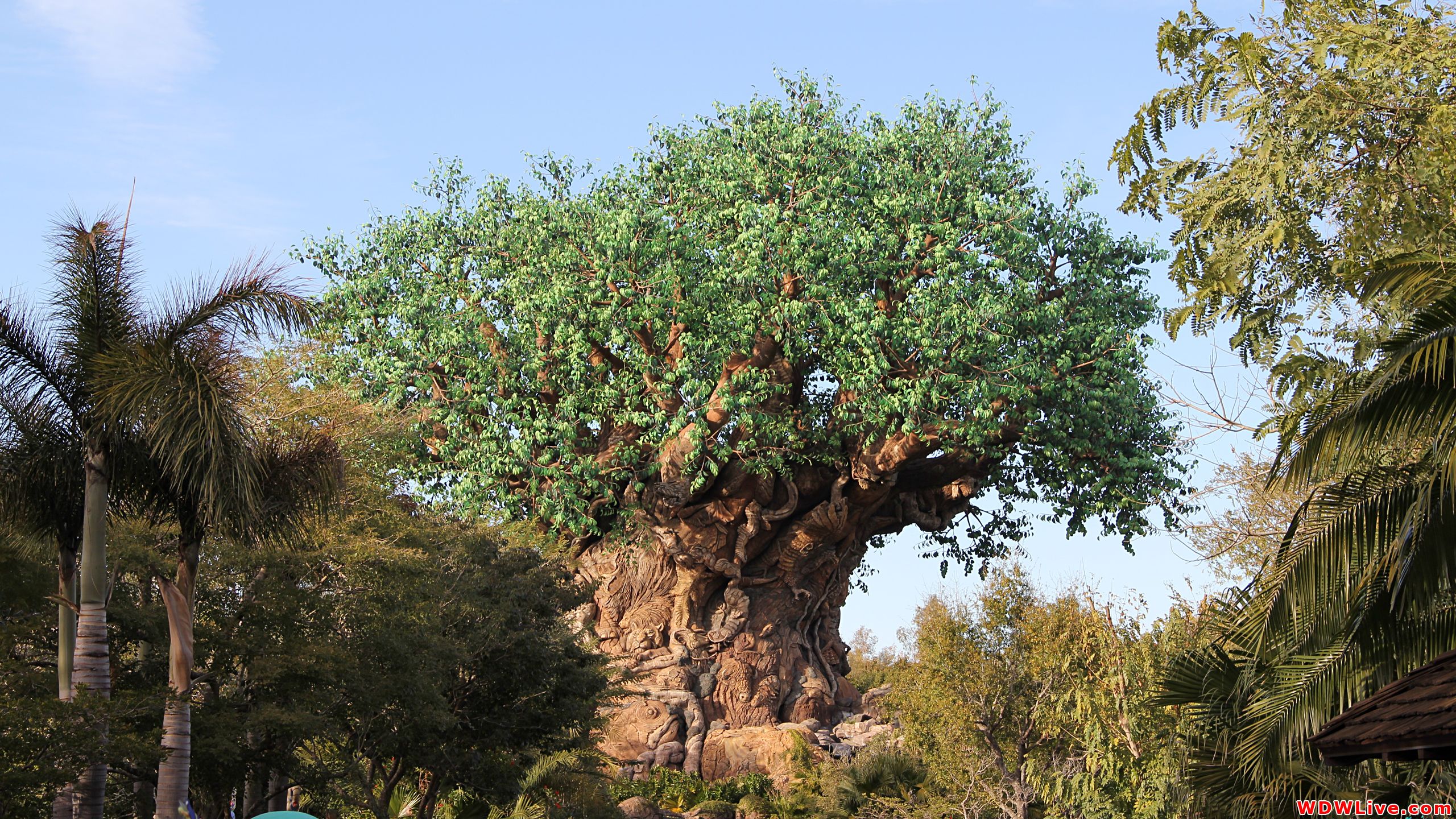 Tree Of Life: The Majestic 145 Foot Tall Animal Kingdom Centerpiece