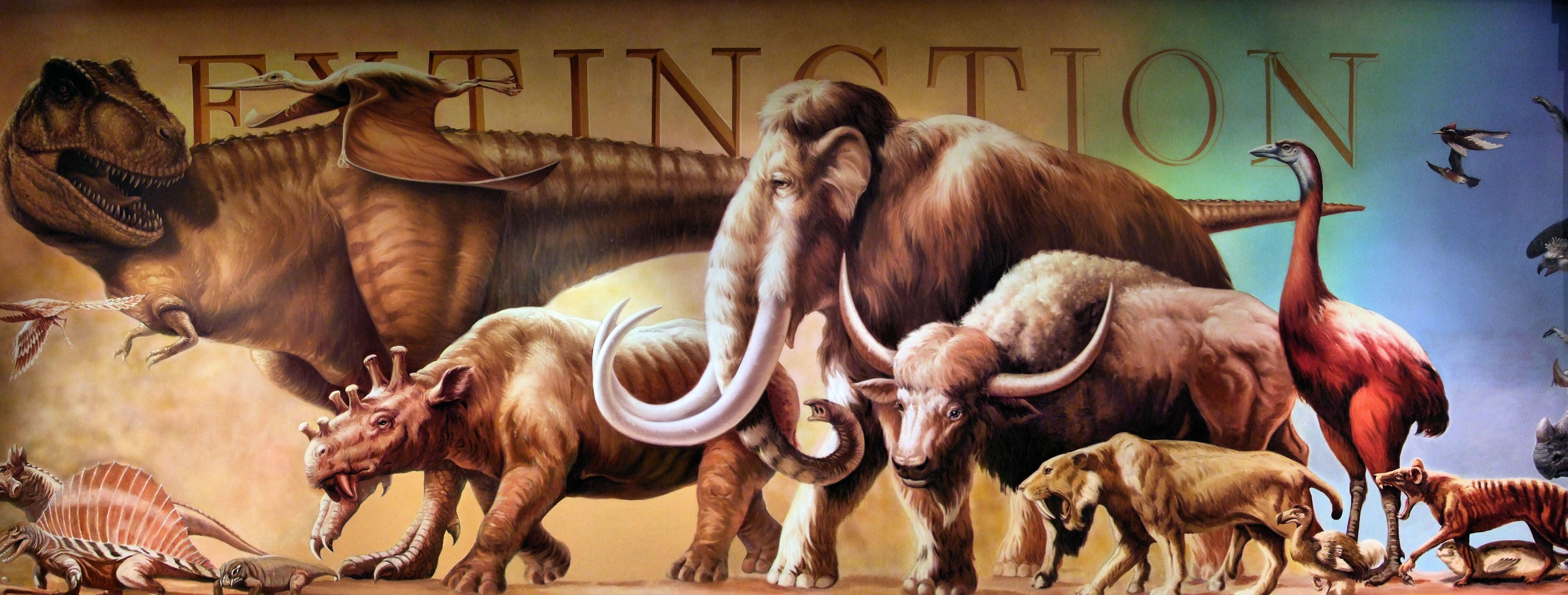 Disney's Animal Kingdom image Extinction poster HD wallpaper