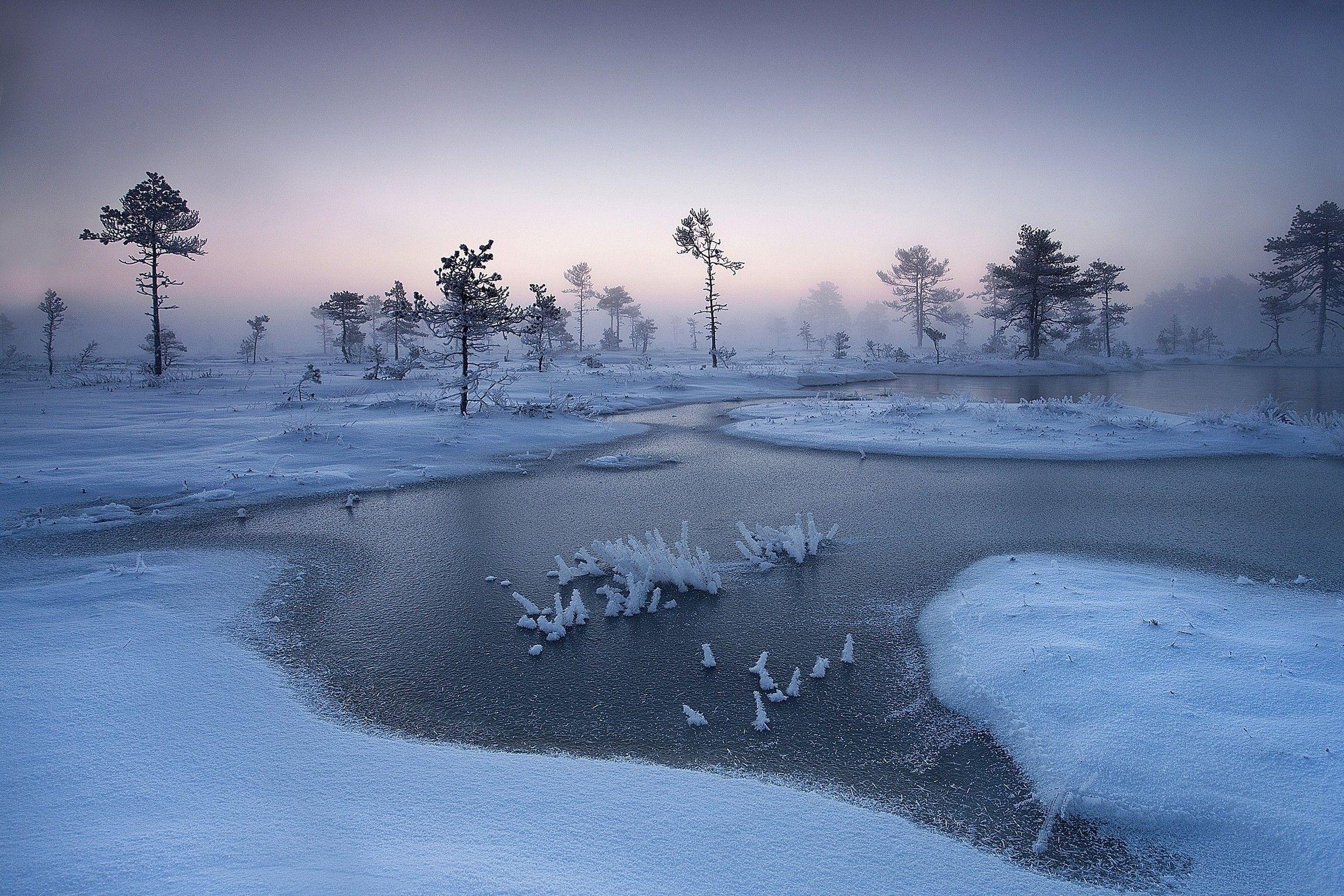 nature, Landscape, Sunrise, Winter, Mist, River, Trees, Snow