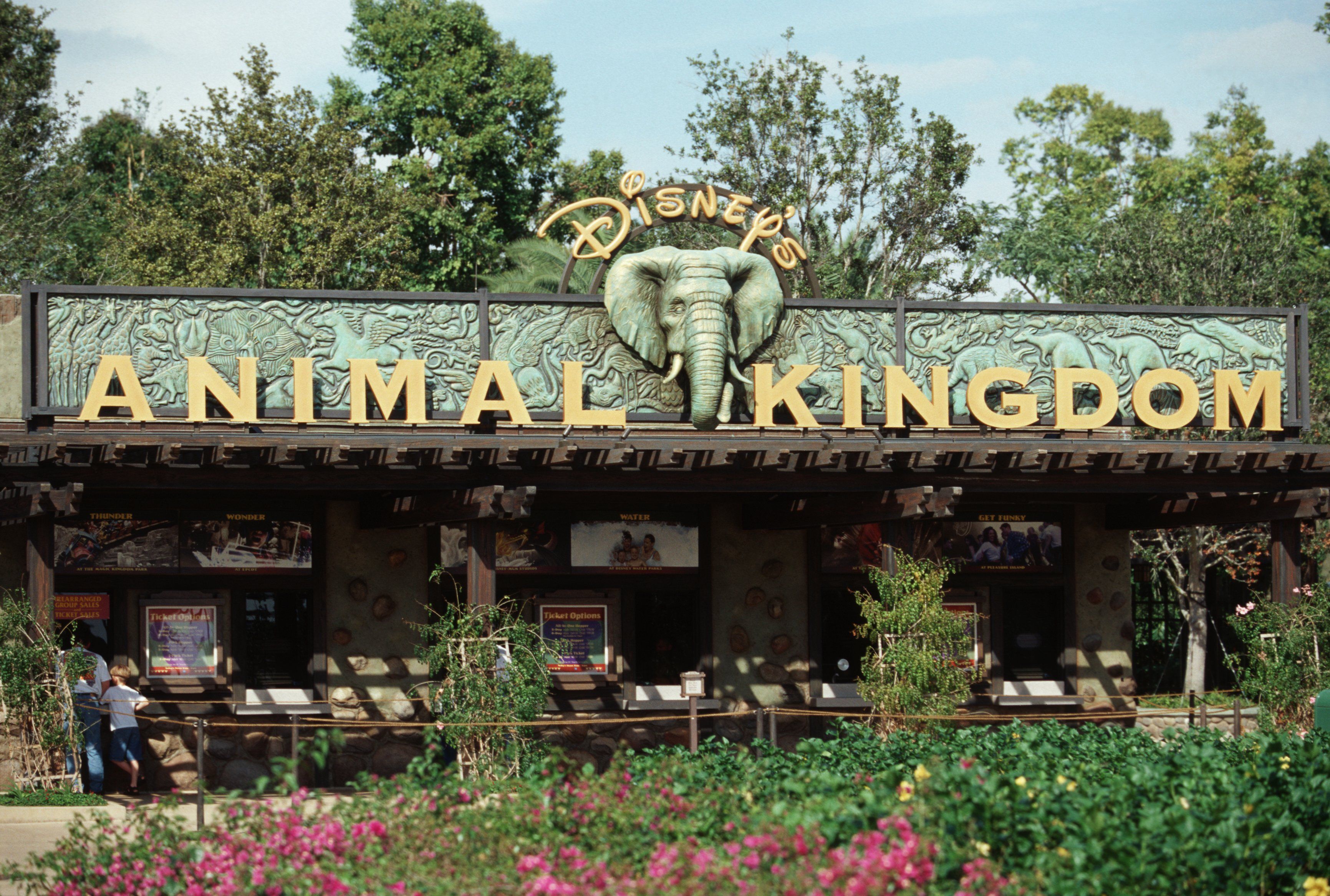 Disney'S Animal Kingdom Wallpapers - Wallpaper Cave