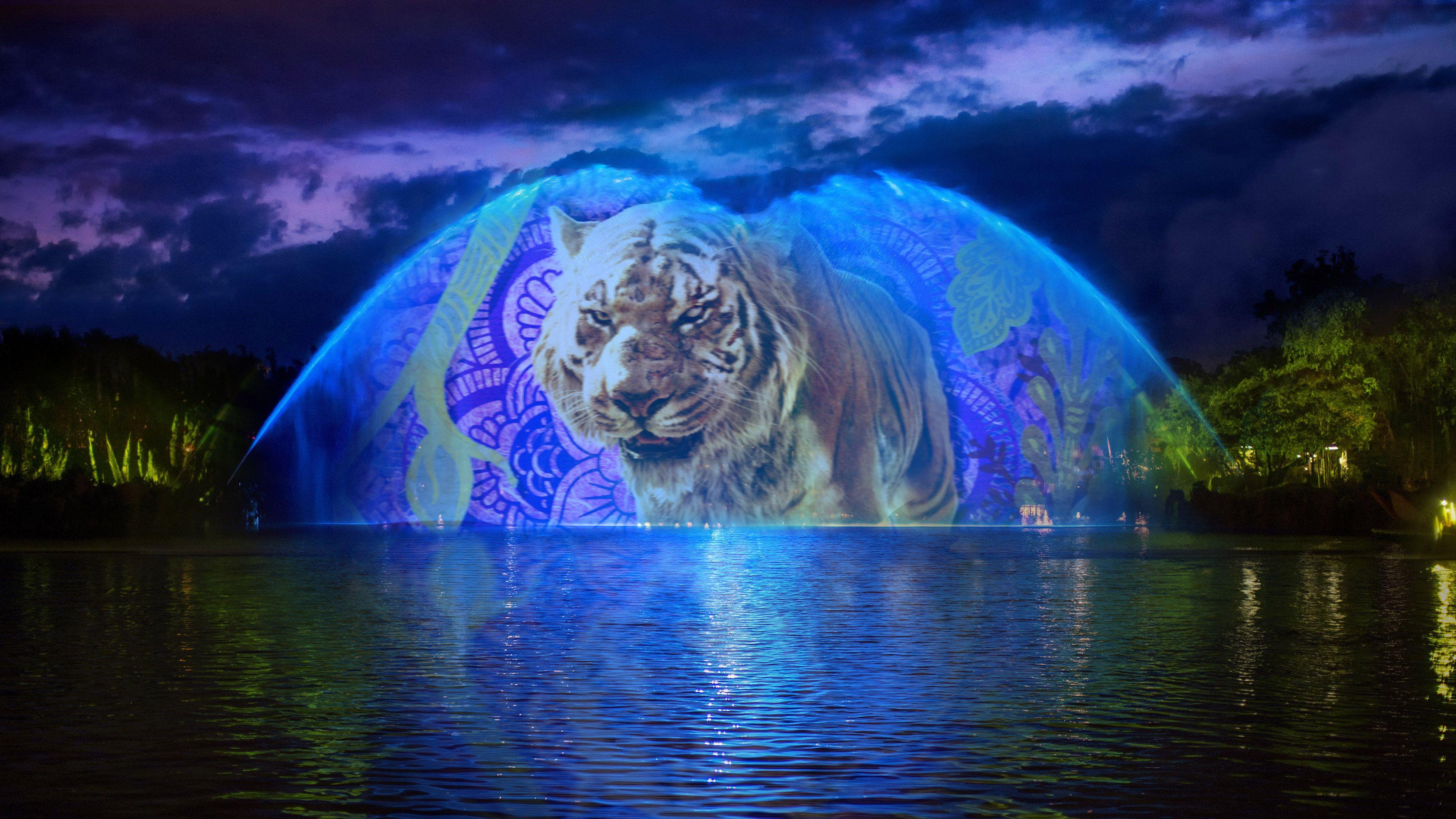 Tiger in Disney's Animal Kingdom wallpaper (66 Wallpaper)
