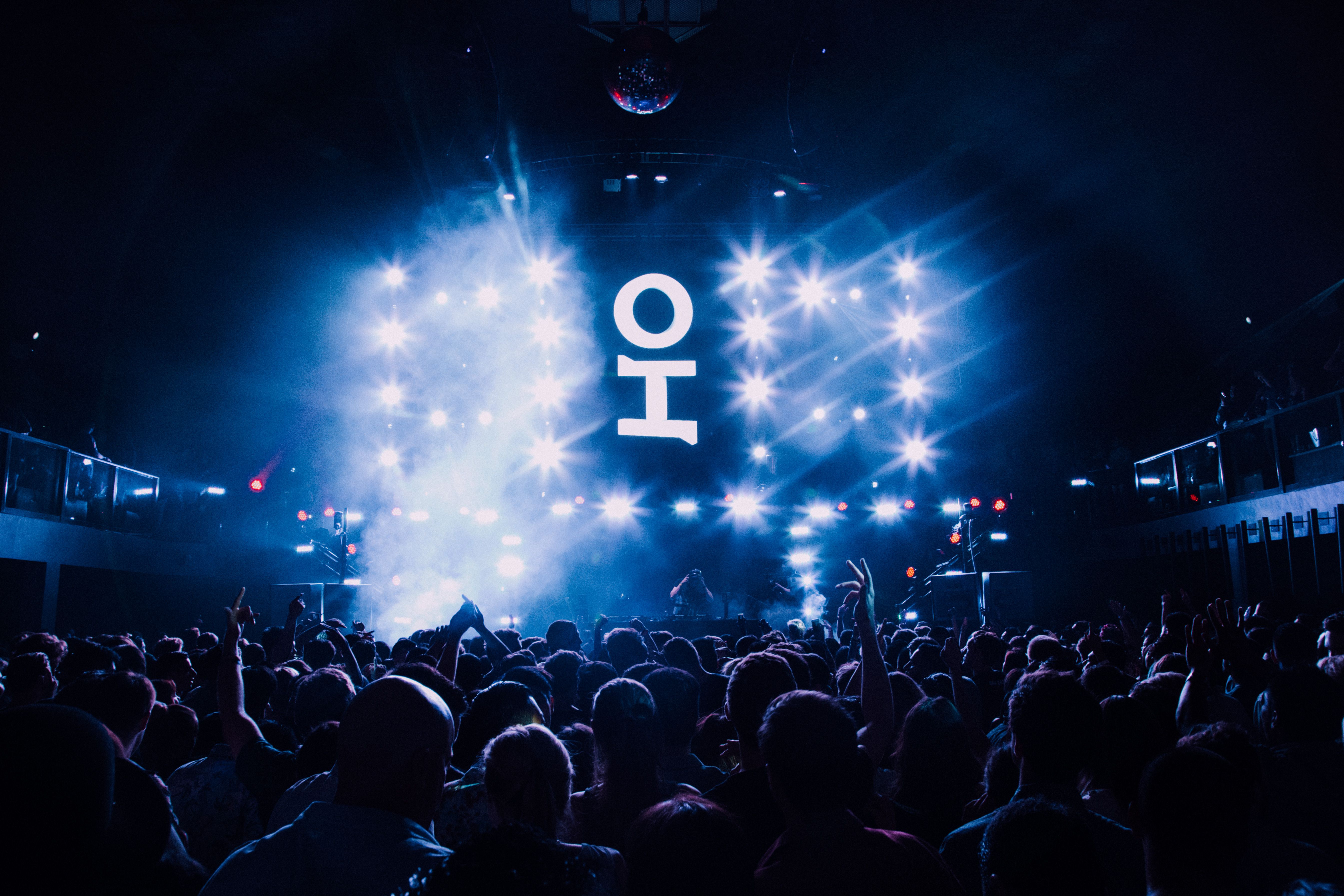 OLIVER HELDENS: The Year of The Gecko