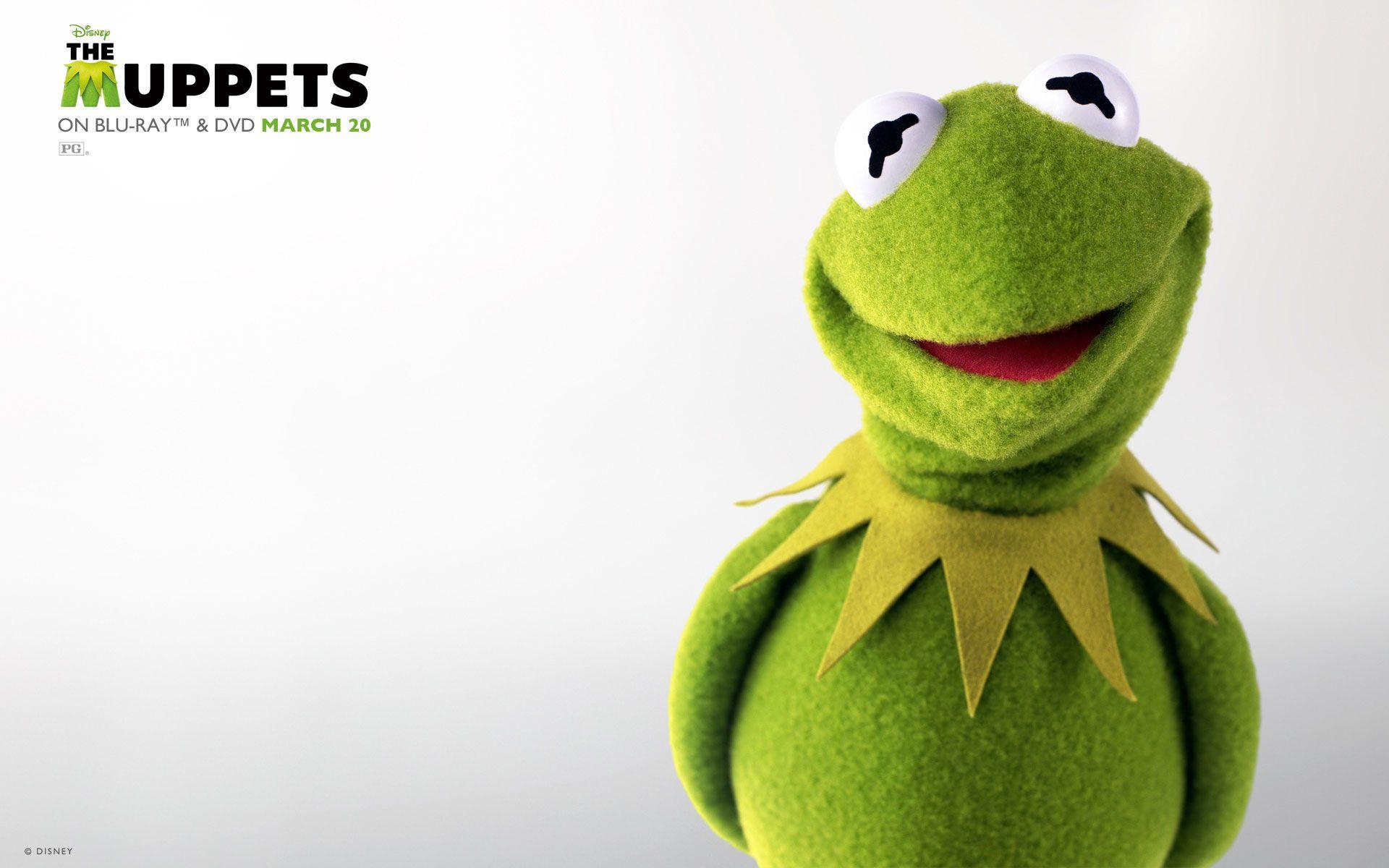 Adorable Kermit The Frog Pic in HD