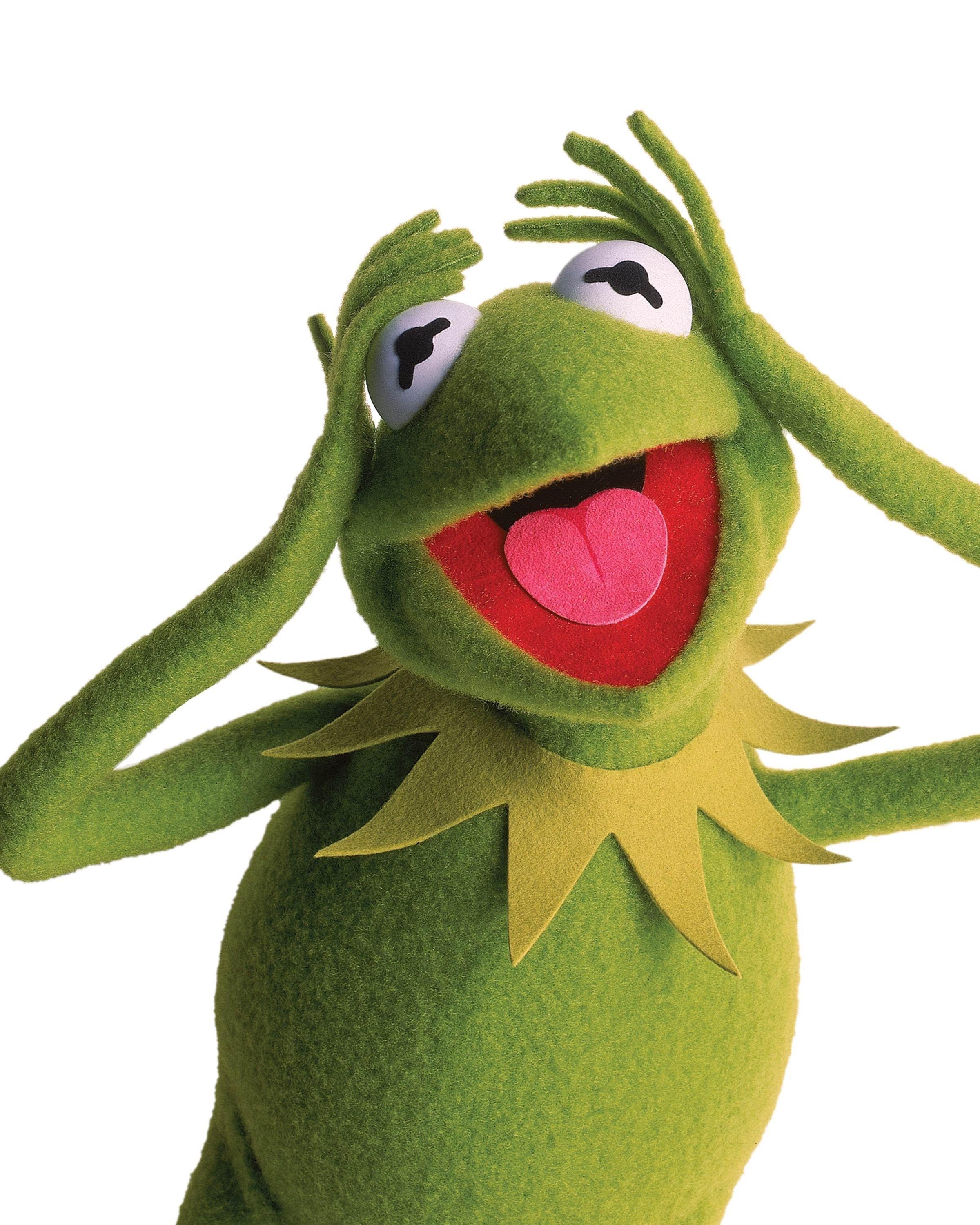 Kermit The Frog HD Wallpaper Background Desktop Background