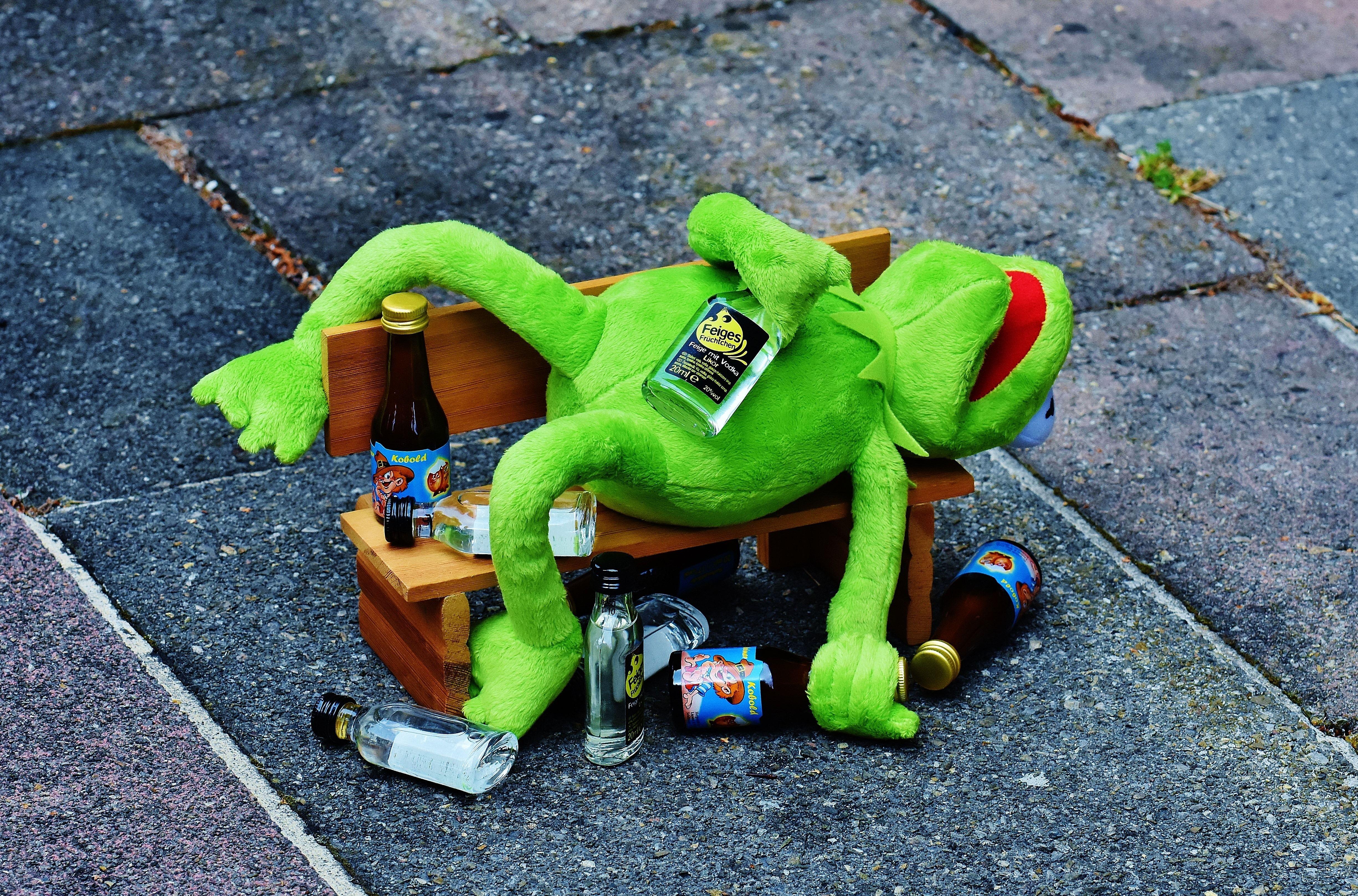 kermit the frog plush toy free image