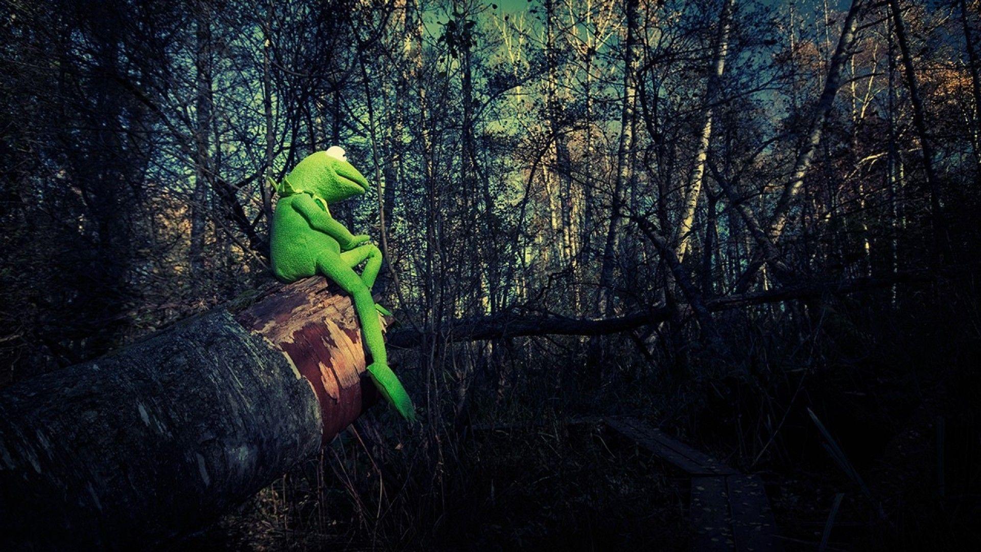 Simply: Kermit the Frog philosophy desktop bakcgrounds