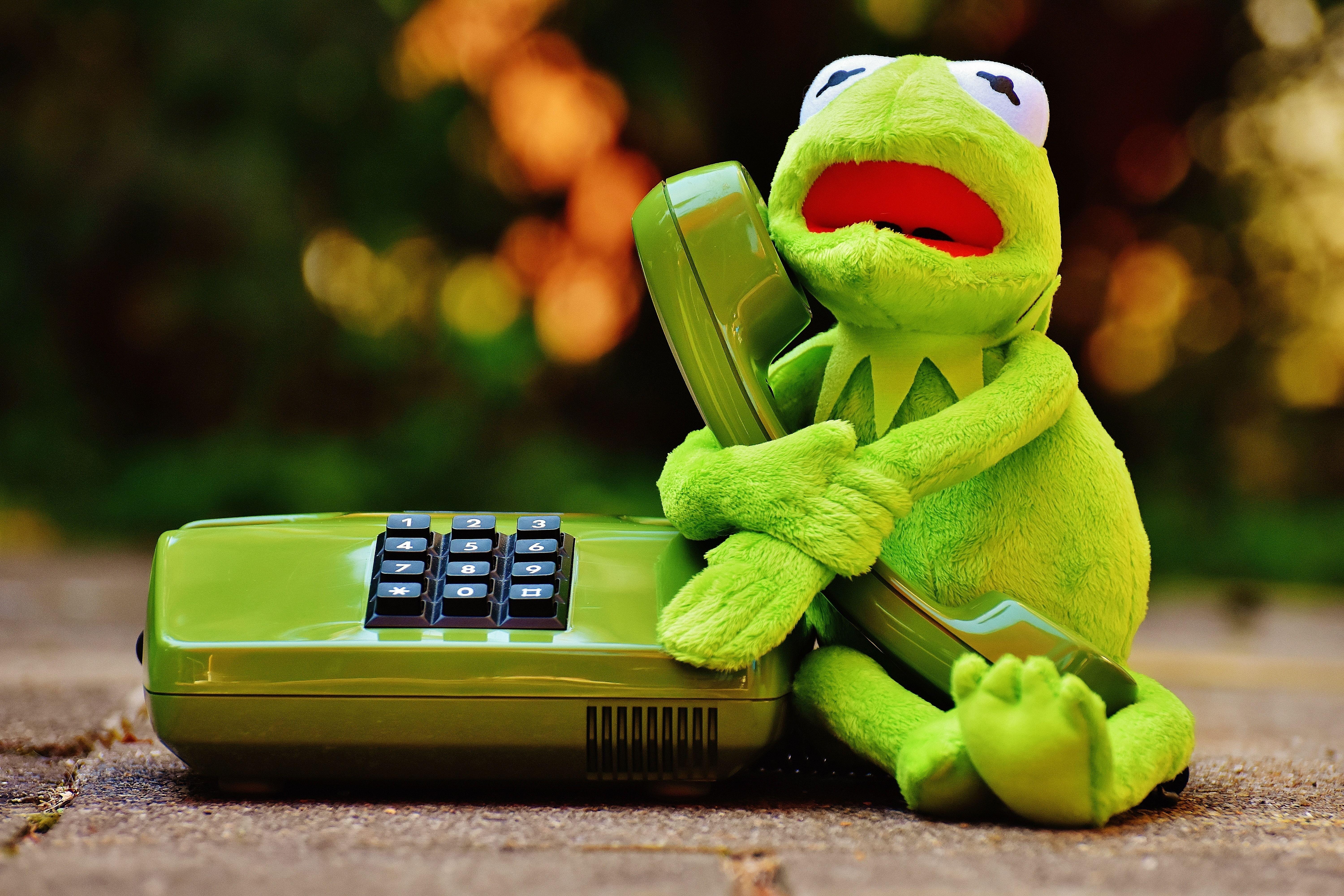 Kermit The Frog Wallpapers Wallpaper Cave