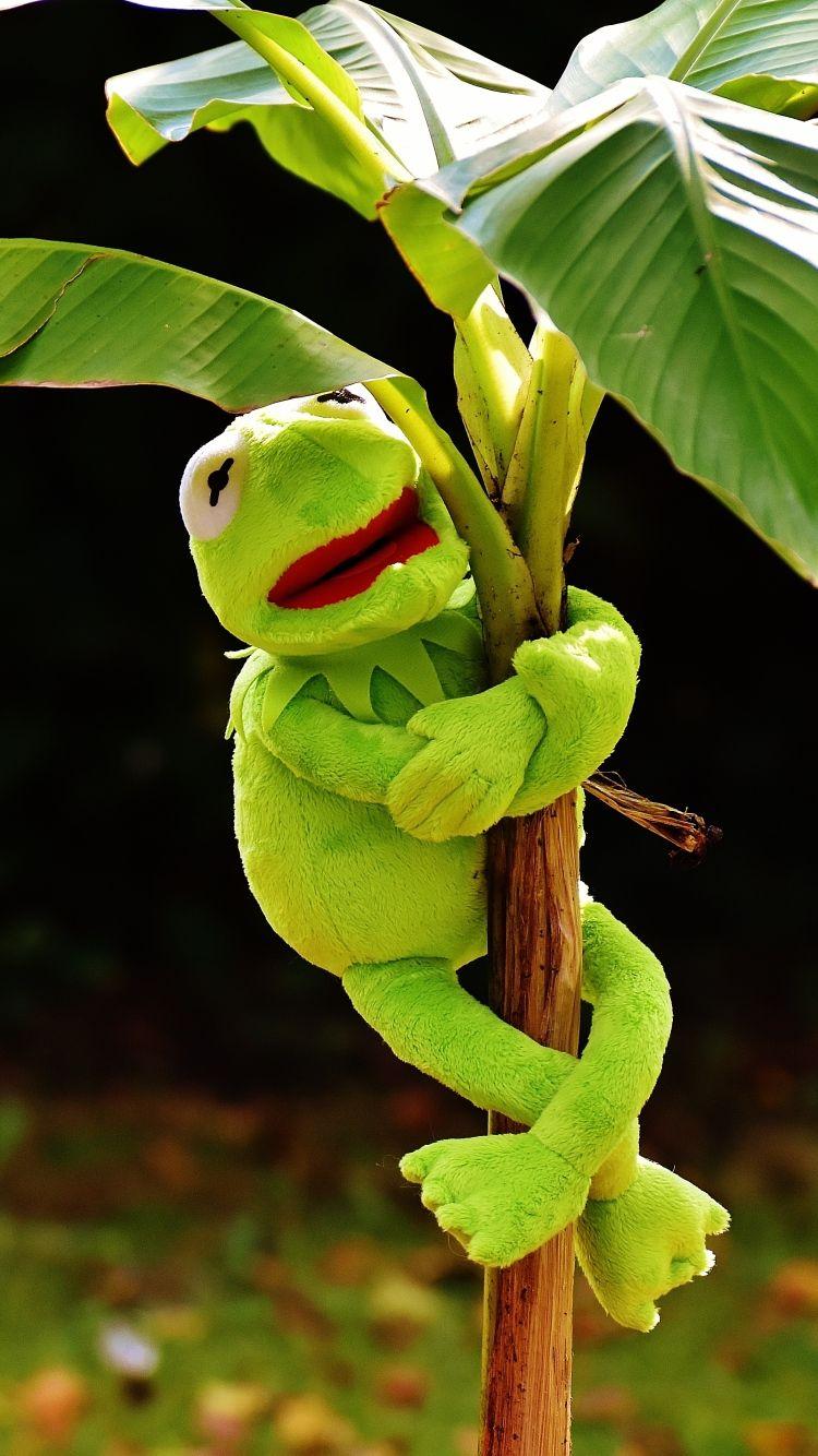 Download Wallpaper 750x1334 Toy, Kermit the frog, Plant iPhone 6