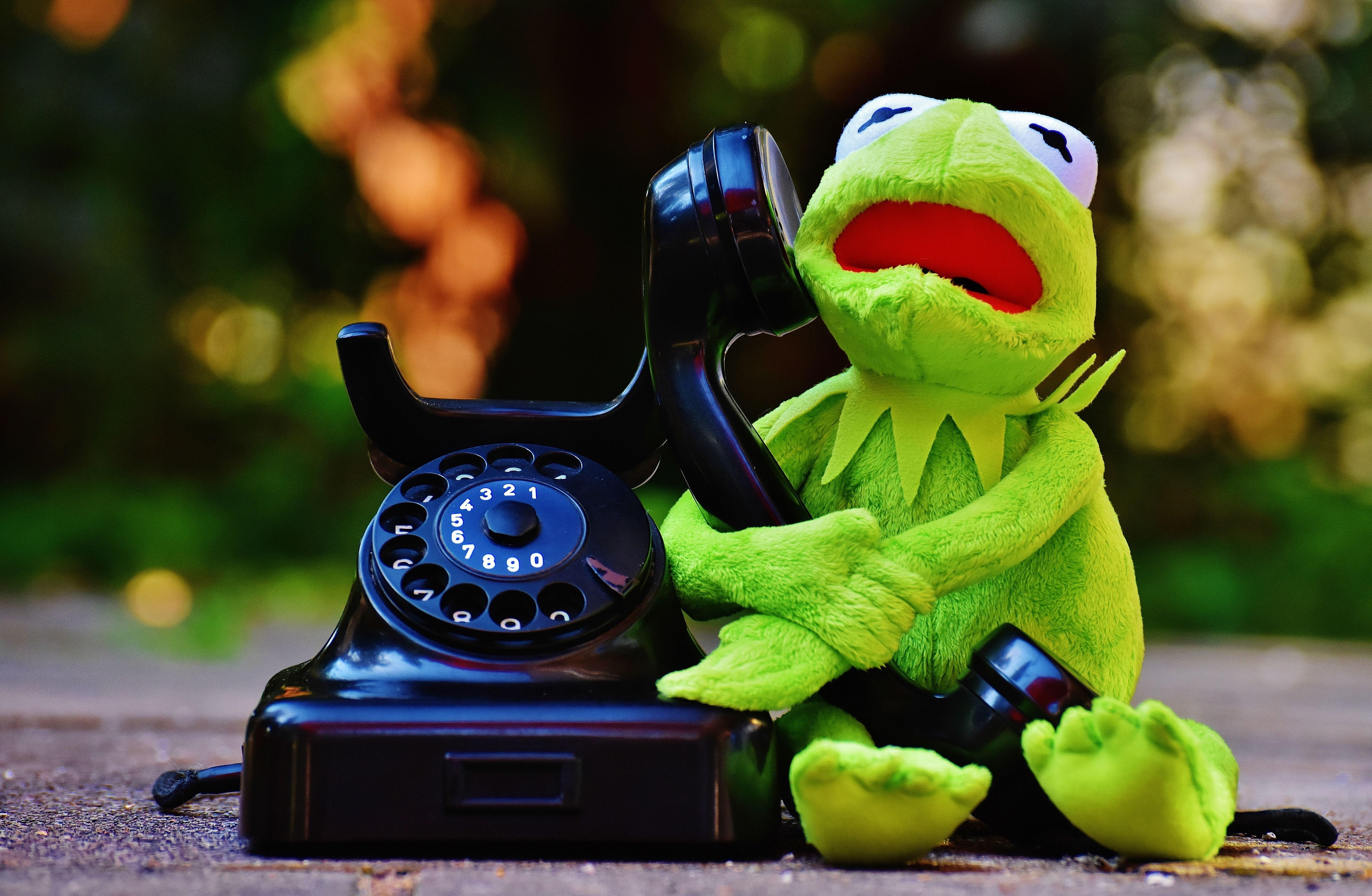 kermit the frog and rotary phone free image