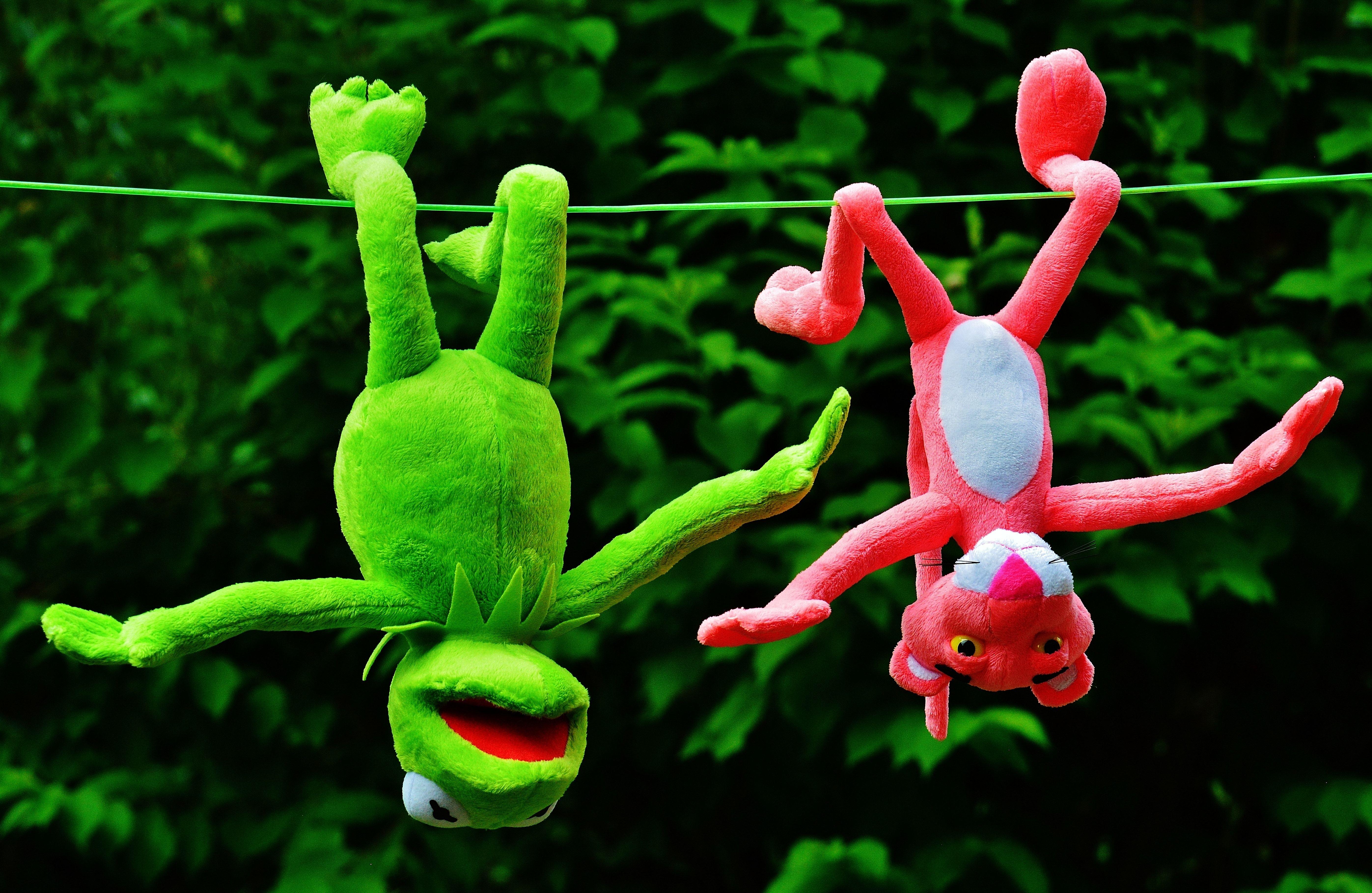 kermit the frog and pink panther plush toys free image
