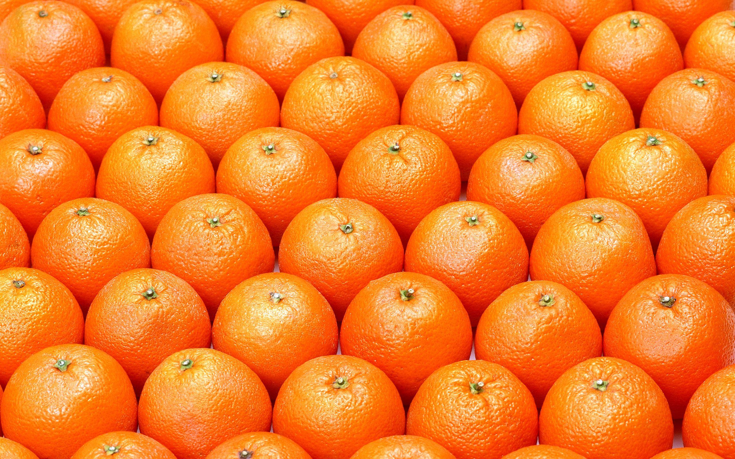 Oranges Wallpaper Quality Image