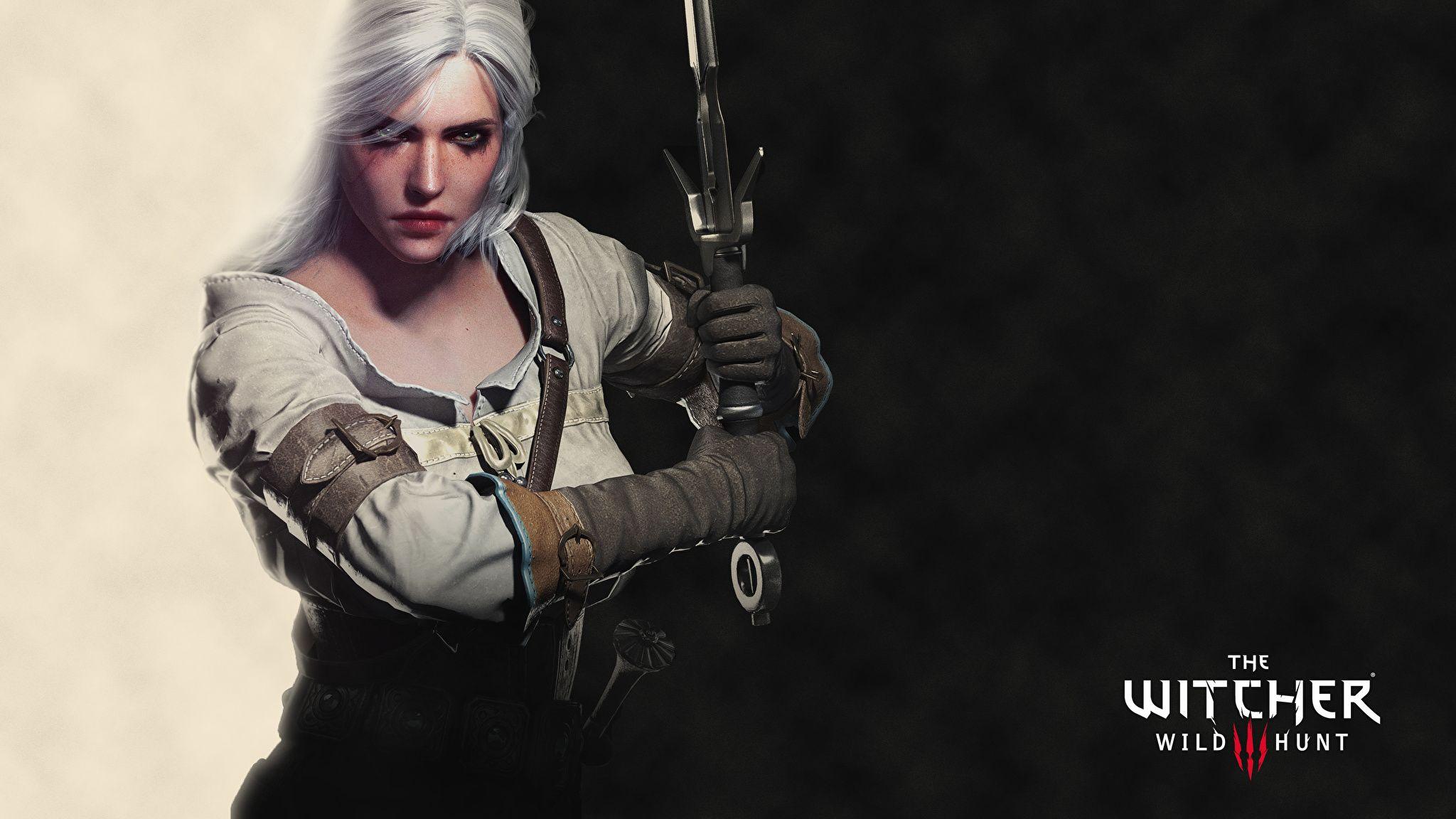 Wallpaper The Witcher 3: Wild Hunt Blonde girl Warriors 2048x1152