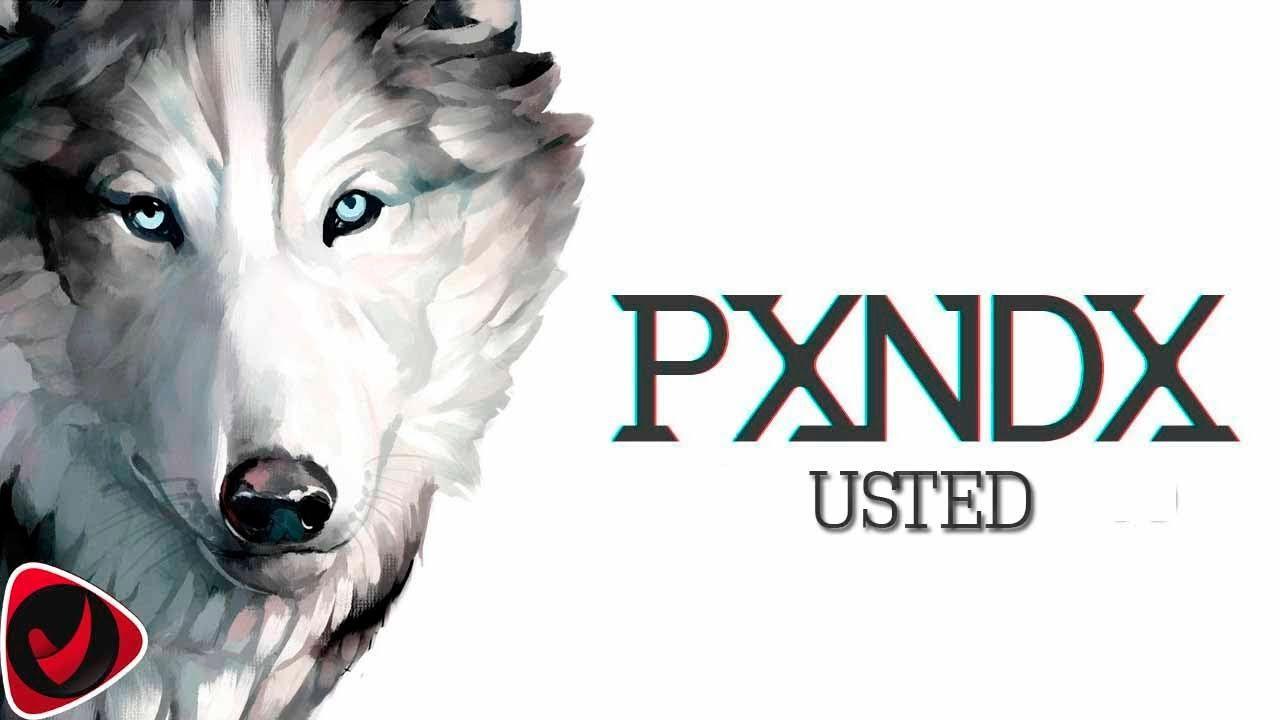 PXNDX Panda (Instrumental Cover)