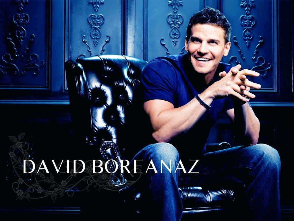 nice Bones TV series Men Actors David Boreanaz