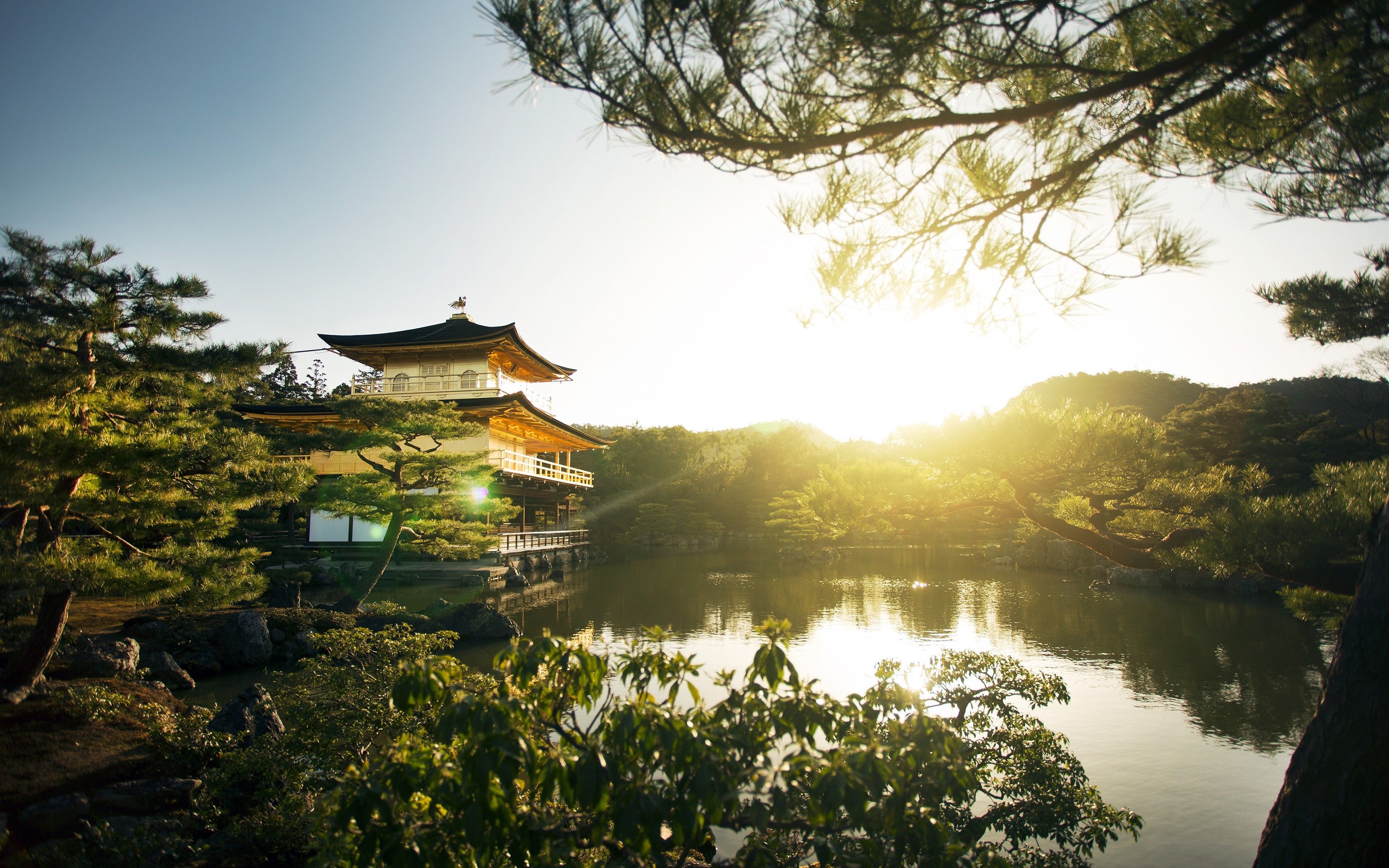 landscape, Nature, Sunrise, Park, Kyoto, Trees, Lake, Pagoda