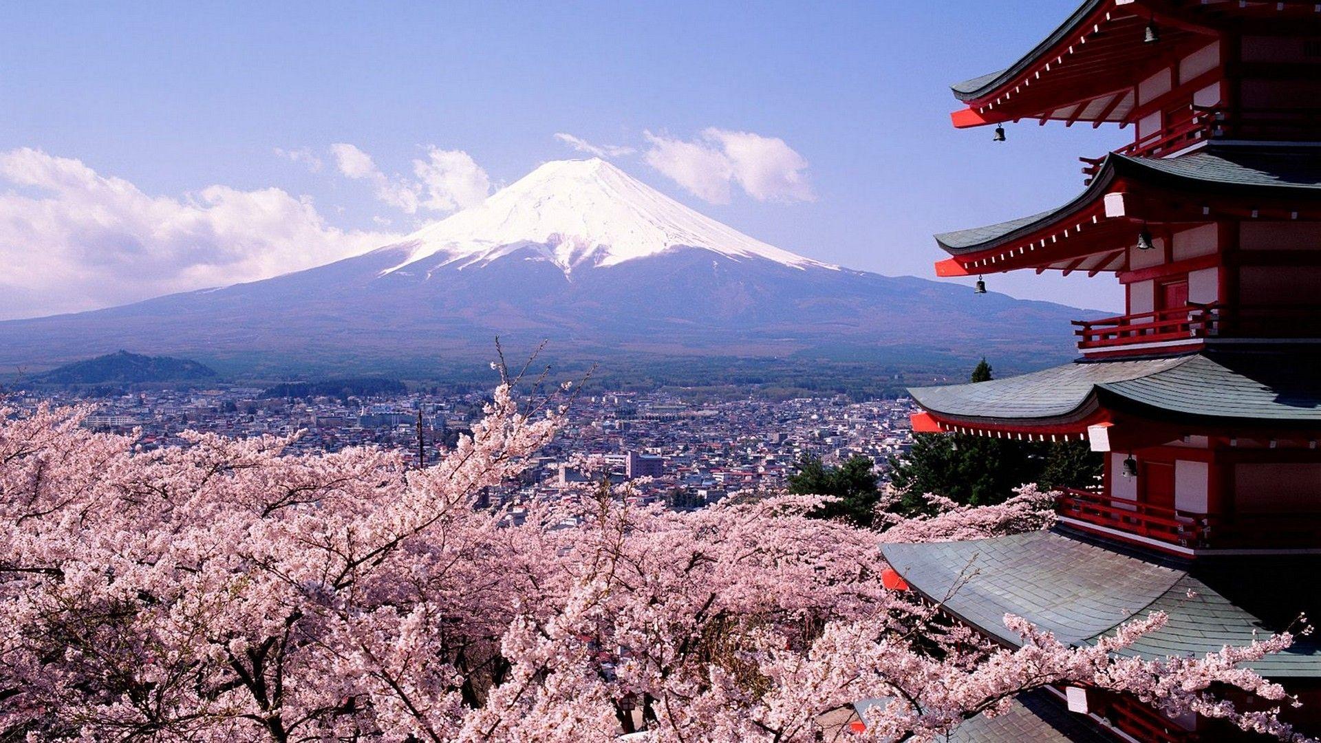 Japan, mount Fuji, cherry blossoms, Chureito Pagoda wallpaper