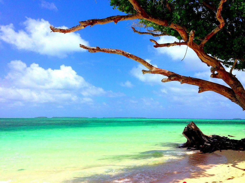 The Marshall Islands. Marshall islands, Island beach and Beach