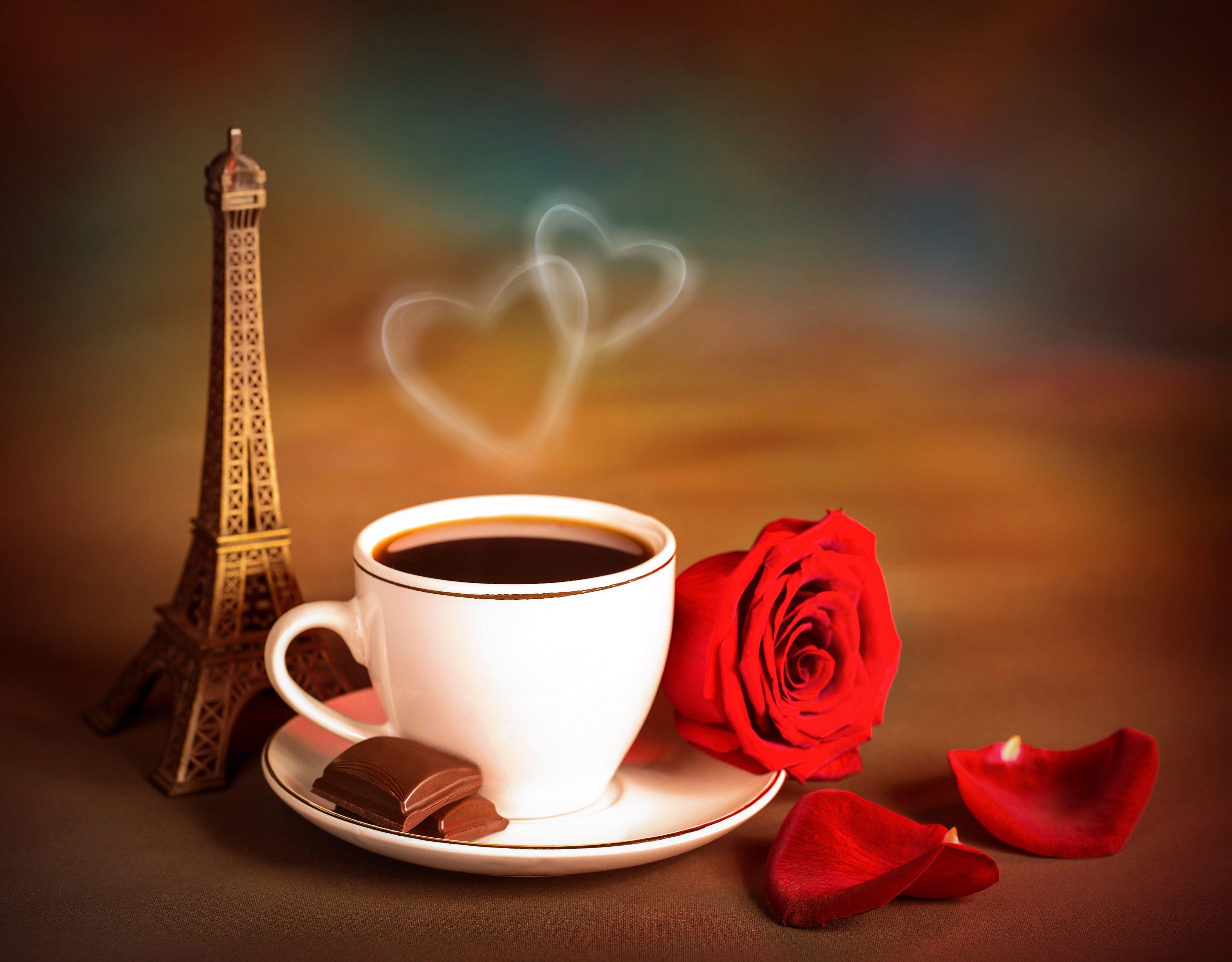 Flower: Flowers Roses Petals Valentines Day Eiffel Tower Cup