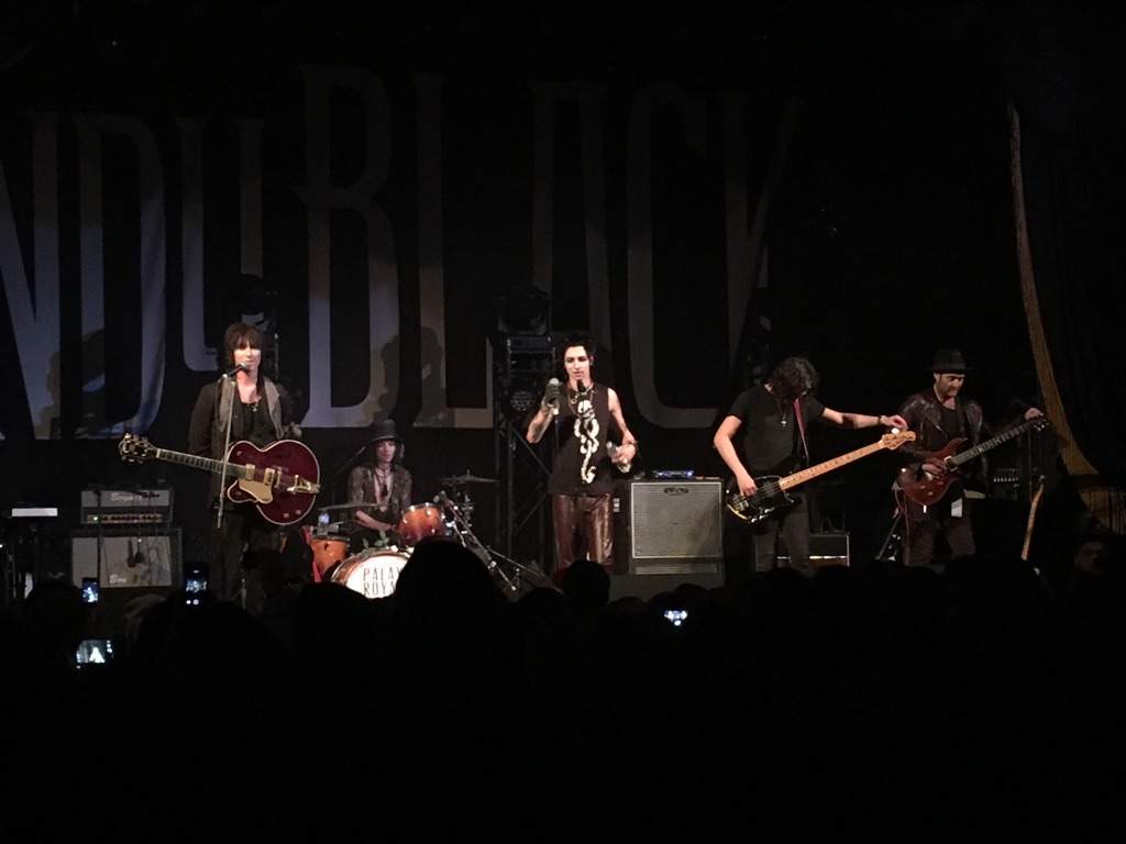 Andy Black Concert Photo From Toronto!. Pop Punk Amino