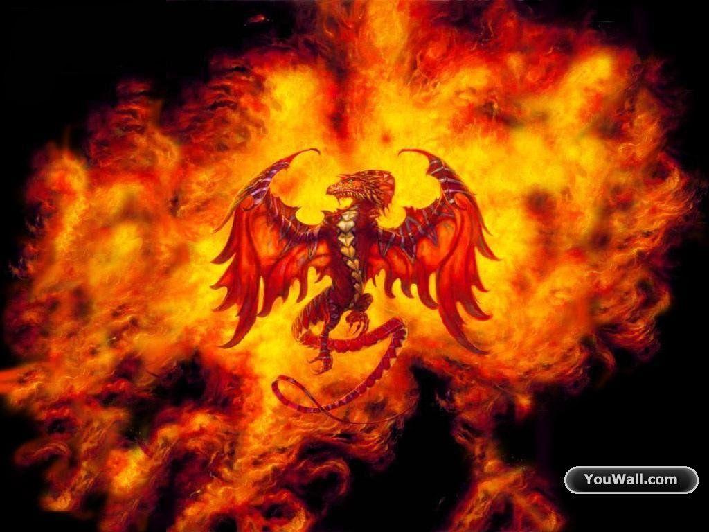 image of Fire Dragon in High Definition