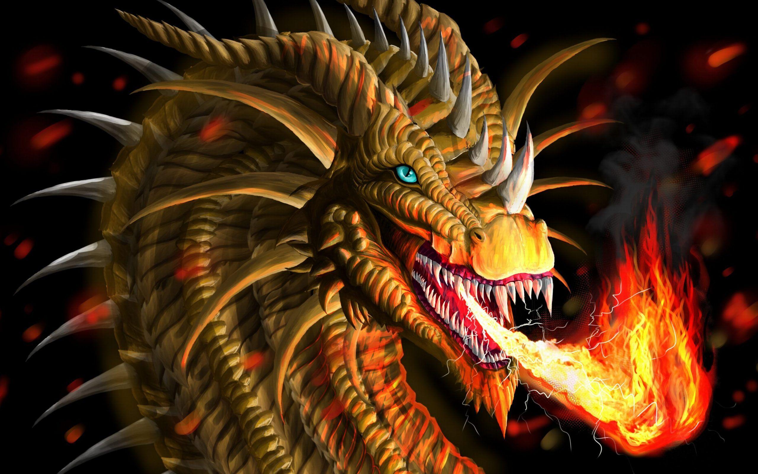 Fire Dragon Wallpaper High Definition • dodskypict