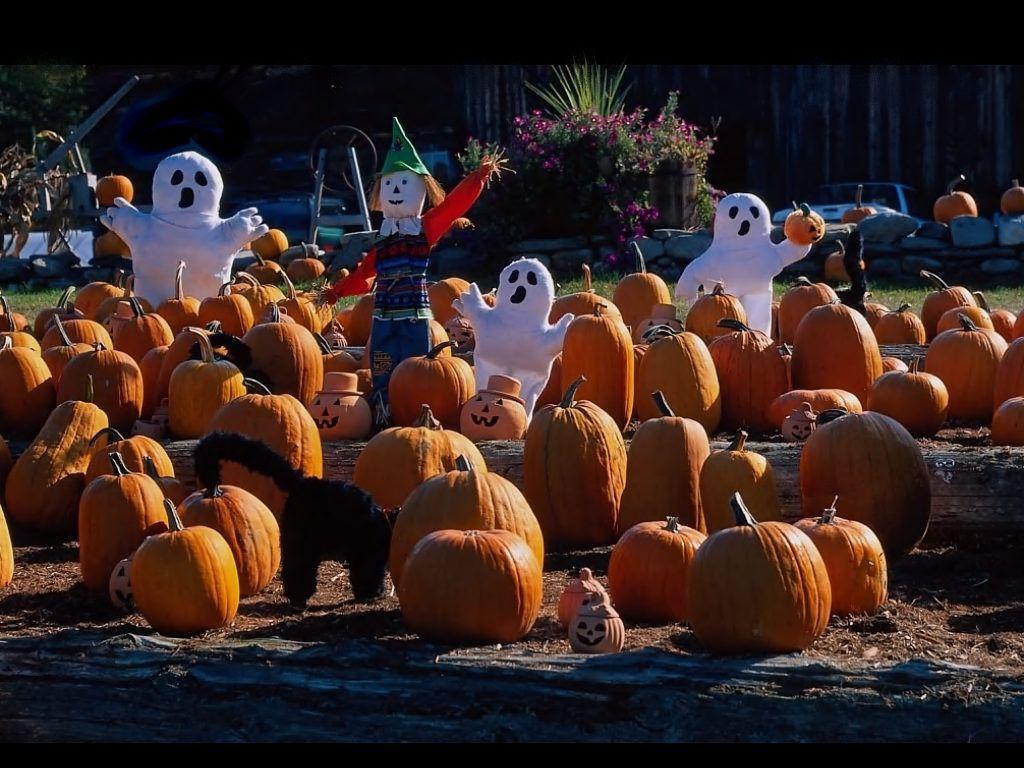 Halloween Free. Free Halloween Pumpkin Patch