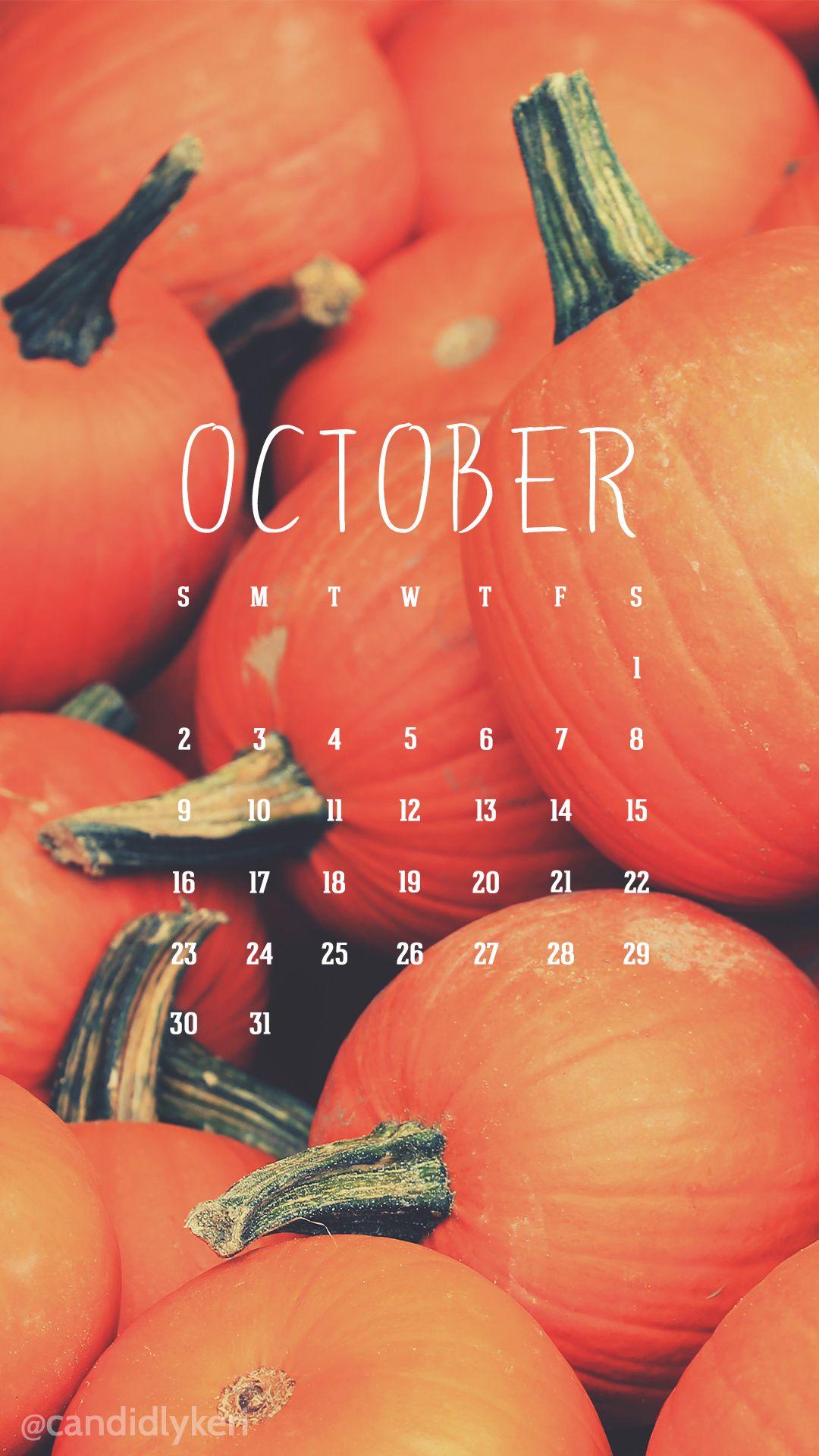 Cute pumpkin patch image October calendar 2016 wallpaper you can