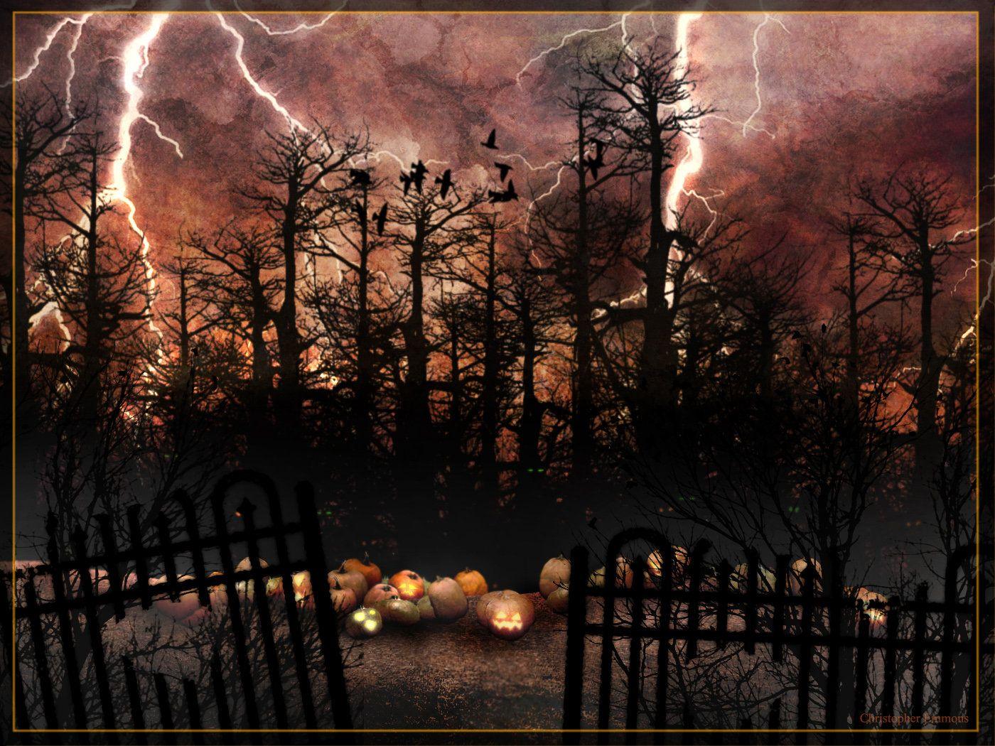 Image Gallery of Spooky Pumpkin Patch Background