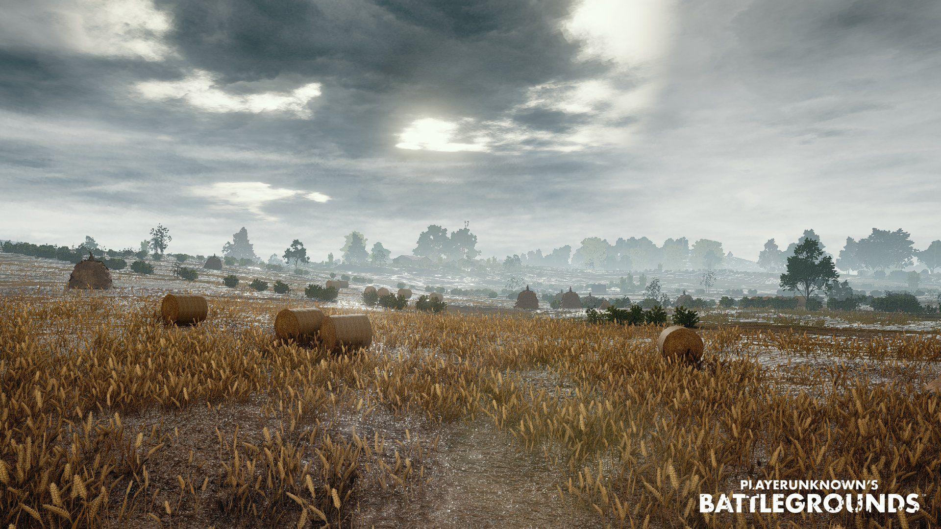 Playerunknowns Battlegrounds HD Wallpaperx1080