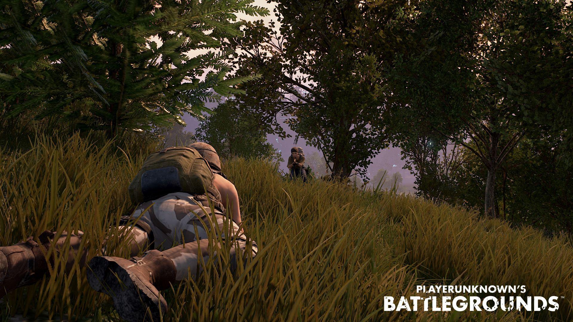 Unknown Player Battlegrounds Screenshots