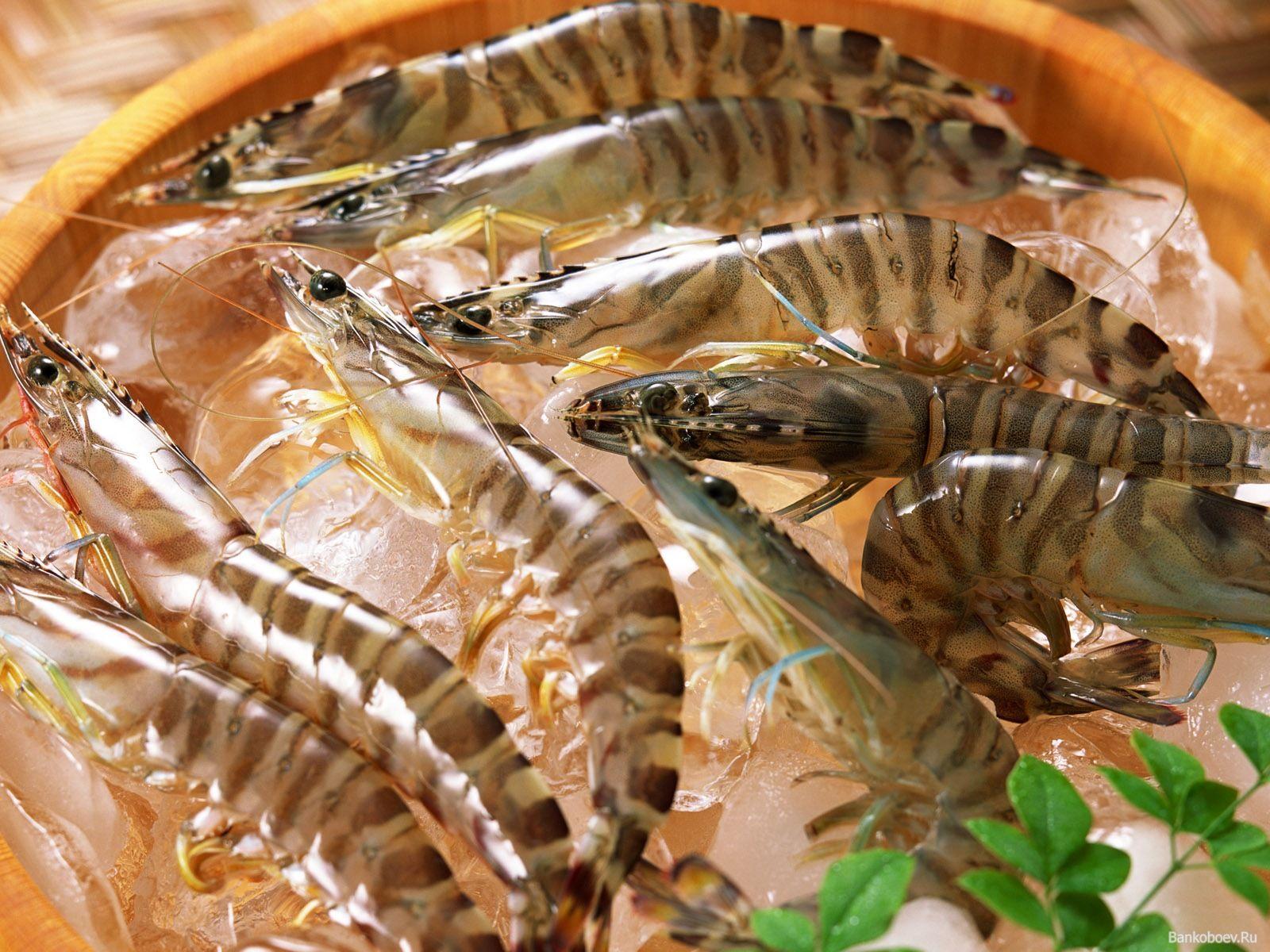Picture Shrimp Food Seafoods