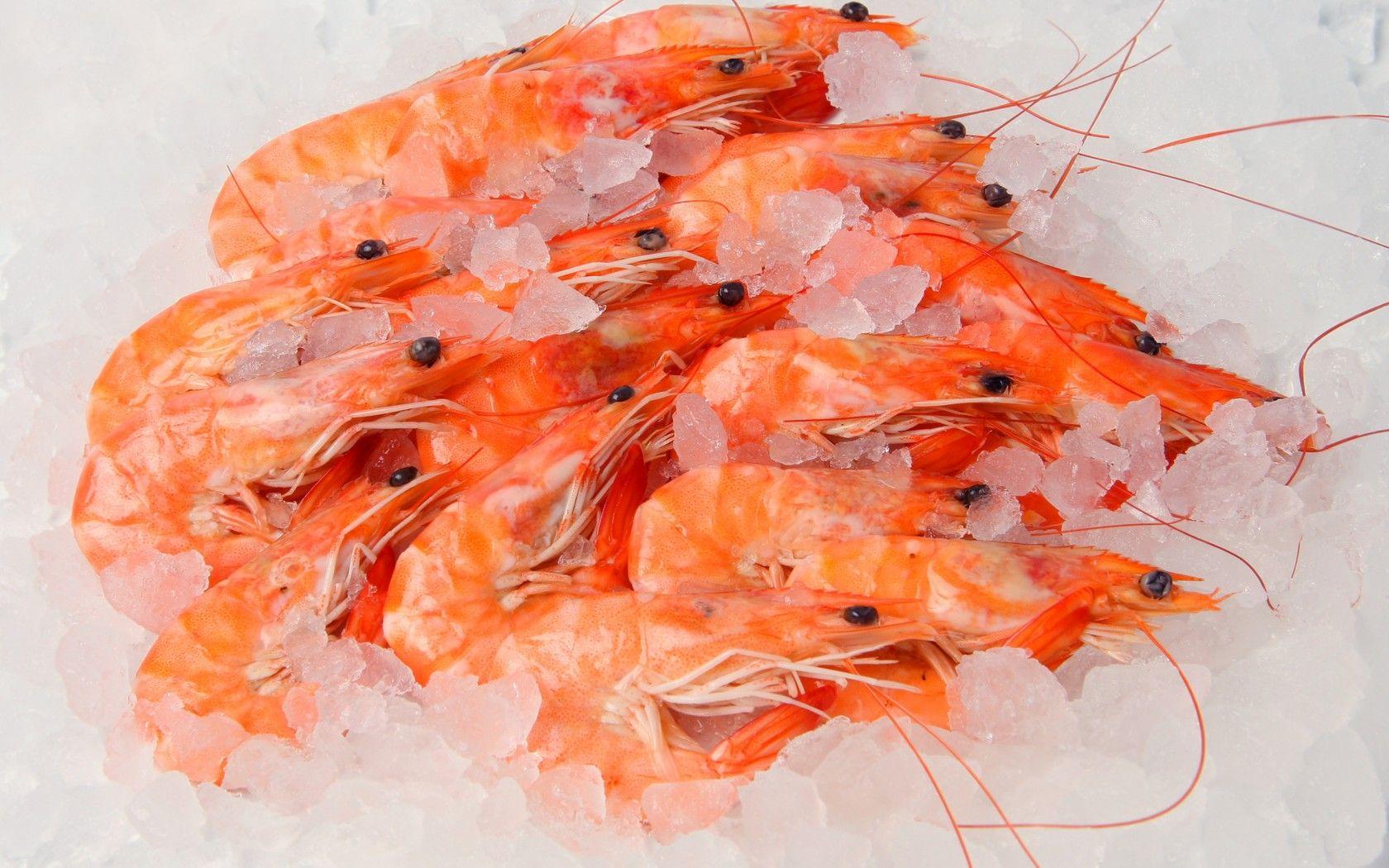 Shrimp seafood ice wallpaperx1050